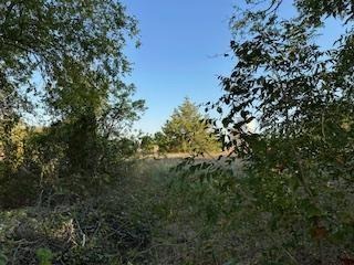Hudson St, Newark, TX 76071