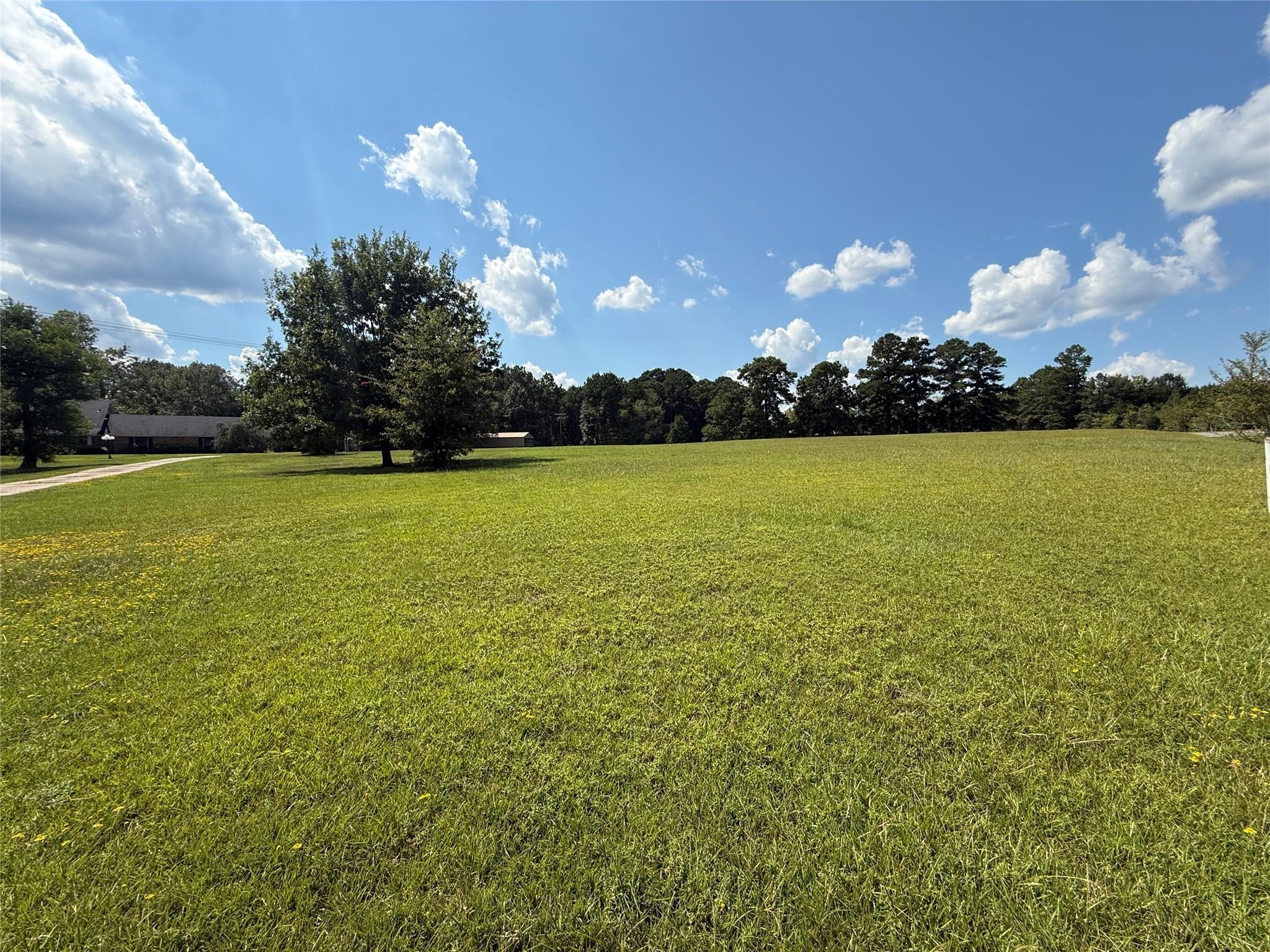 Highway 146 , Homer, LA 71040 #1