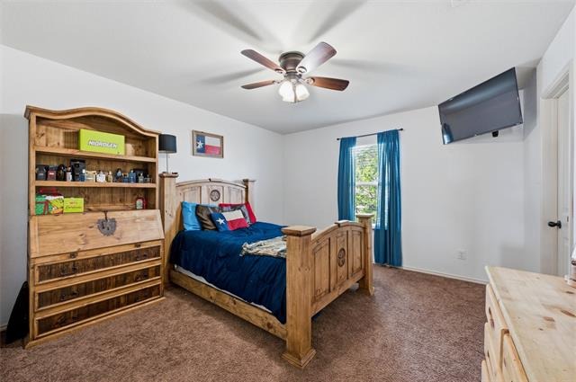 Big Horn Bluff Ct, Fort Worth, TX 76108 #1
