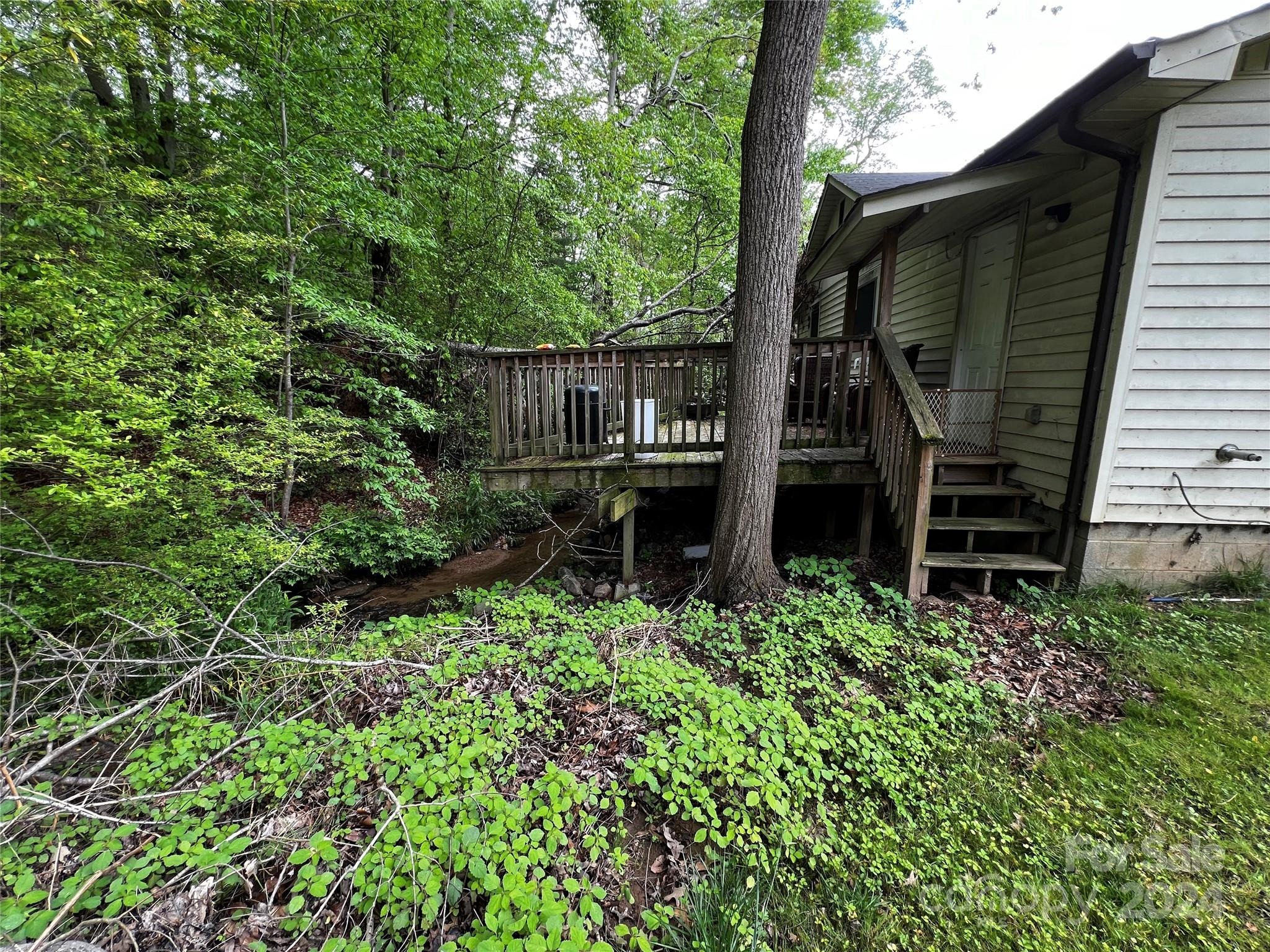 Morgan Branch Rd, Candler, NC 28715 #1