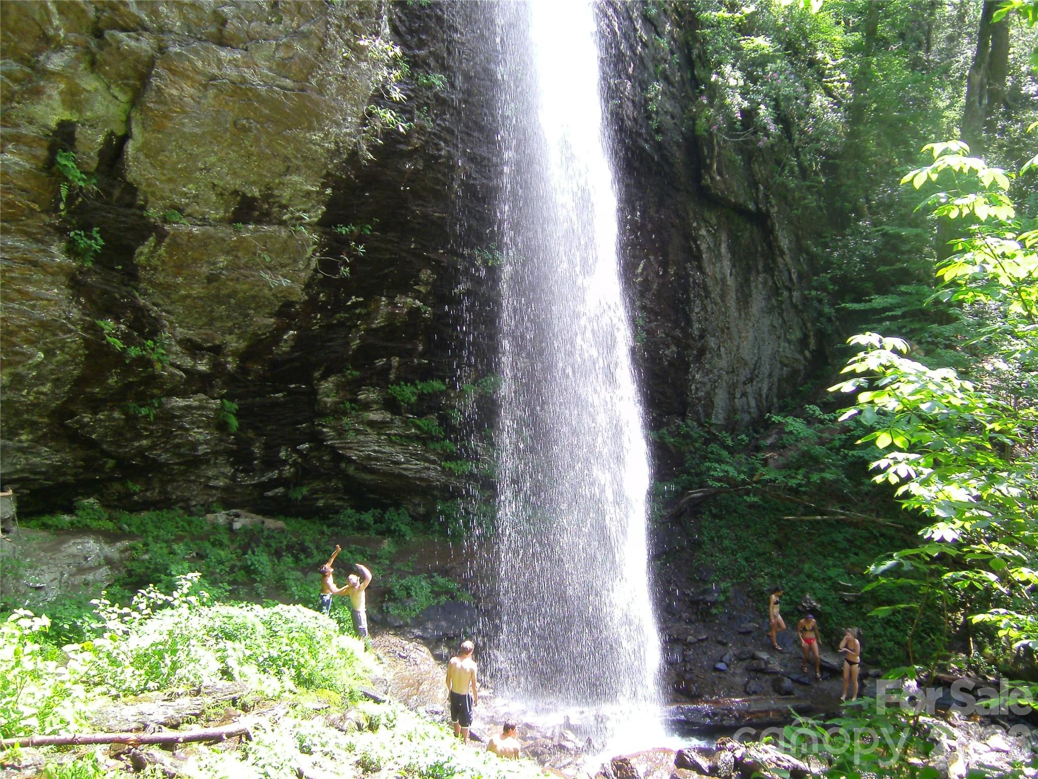 Summer Trees Ln, Burnsville, NC 28714 #1