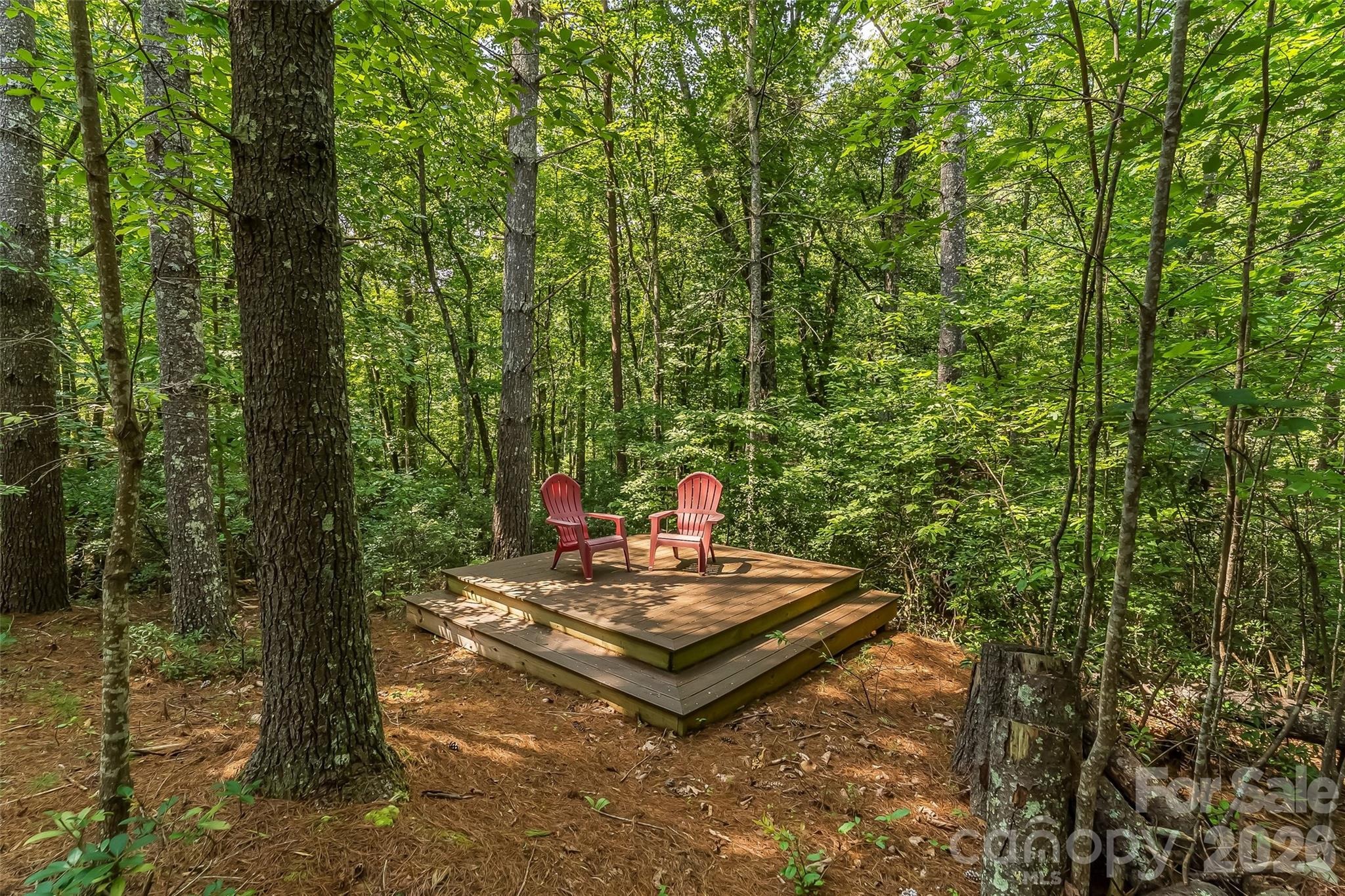 Donahue Dr, Nebo, NC 28761