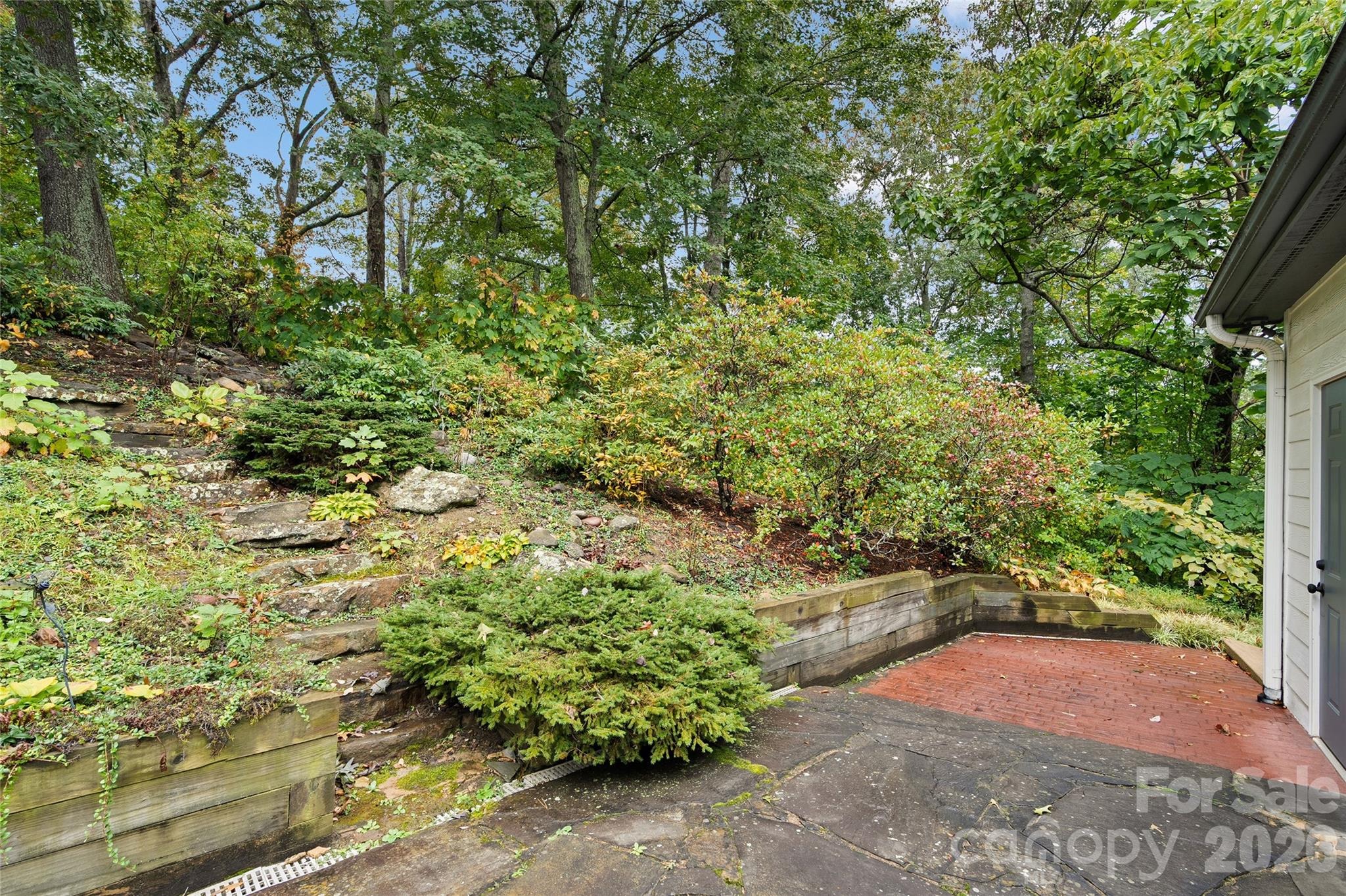 Clear Vista Dr, Asheville, NC 28805 #1