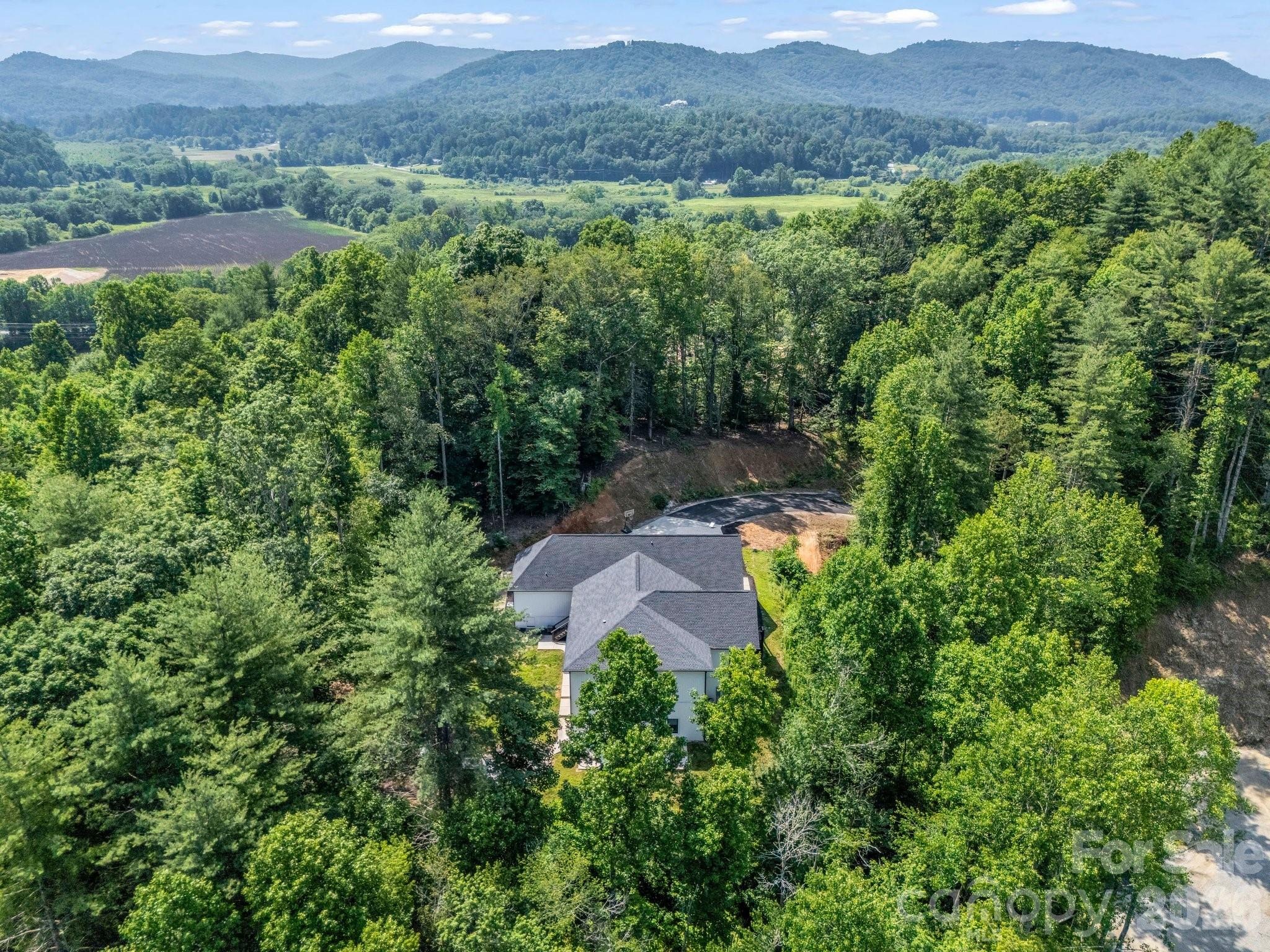 Turnpike Rd, Horse Shoe, NC 28742
