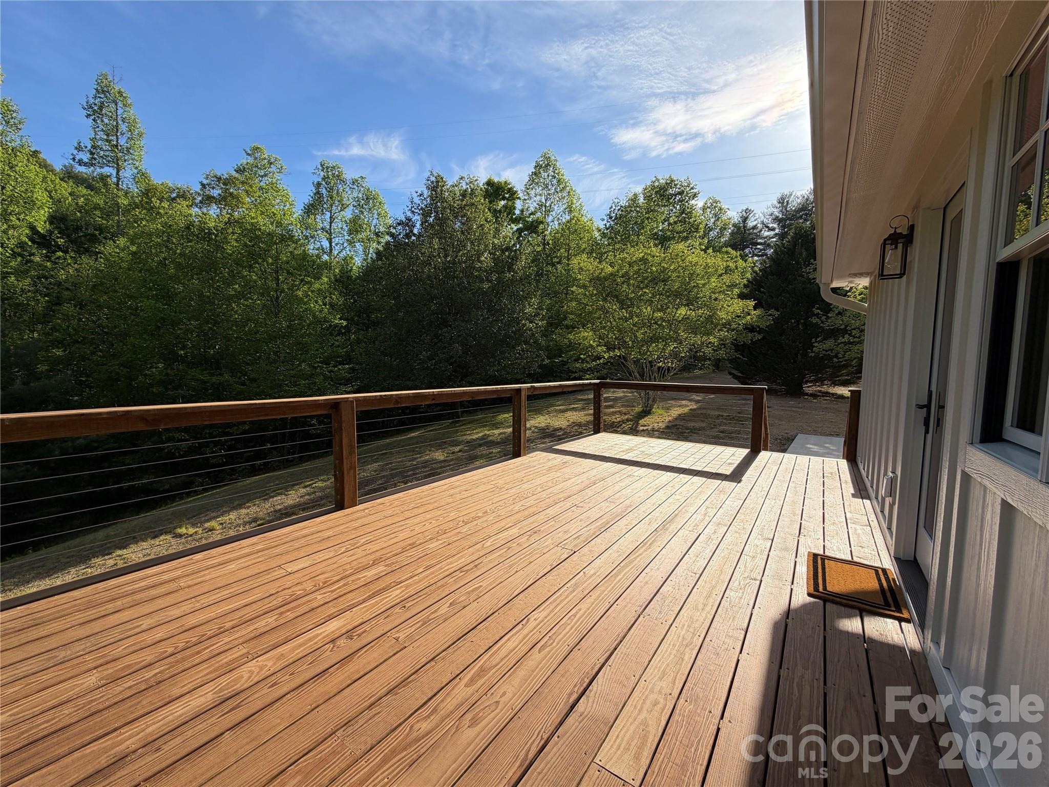Big Raven Ln, Saluda, NC 28773
