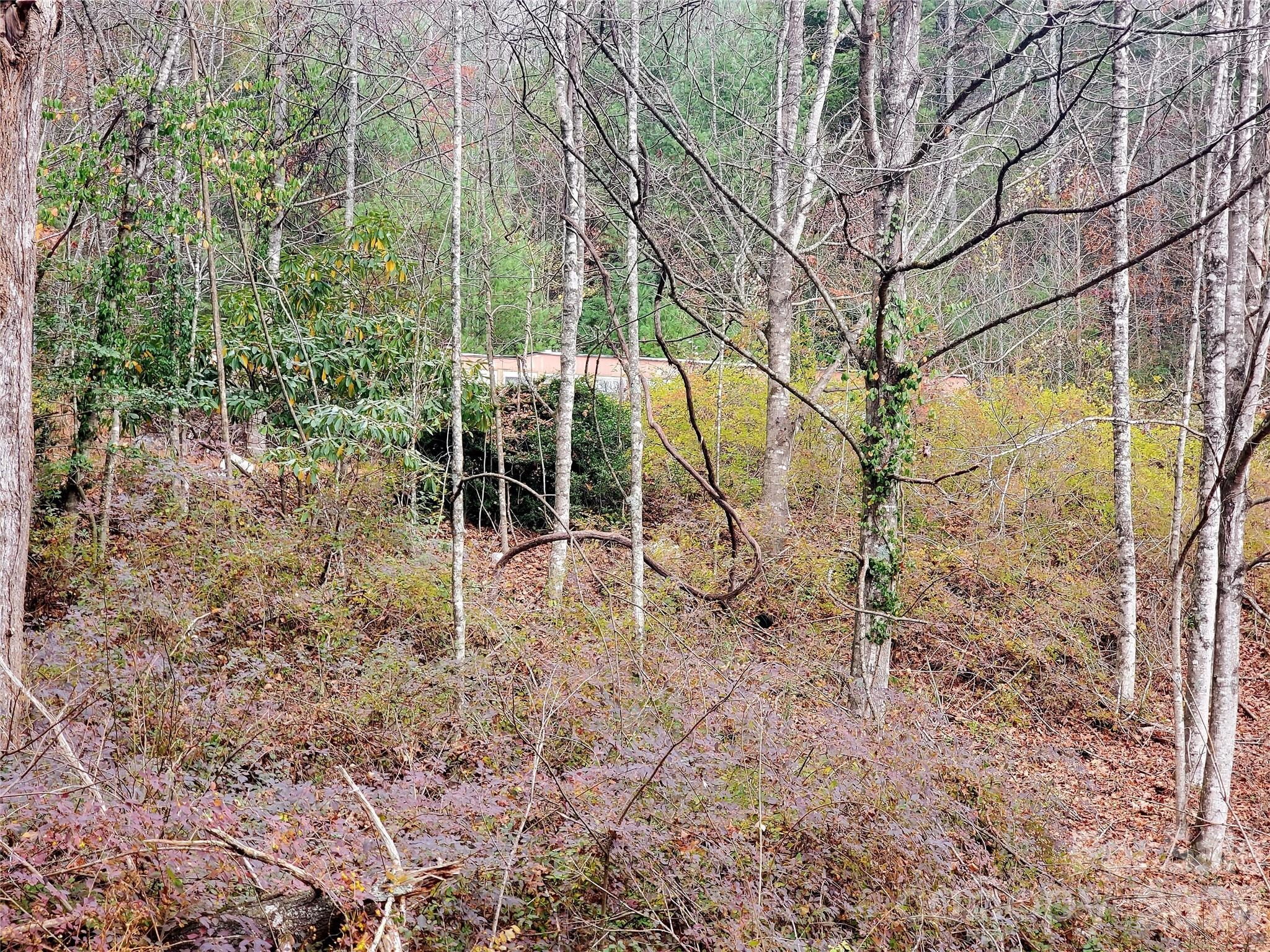 Gouges Creek Rd, Spruce Pine, NC 28777 #1