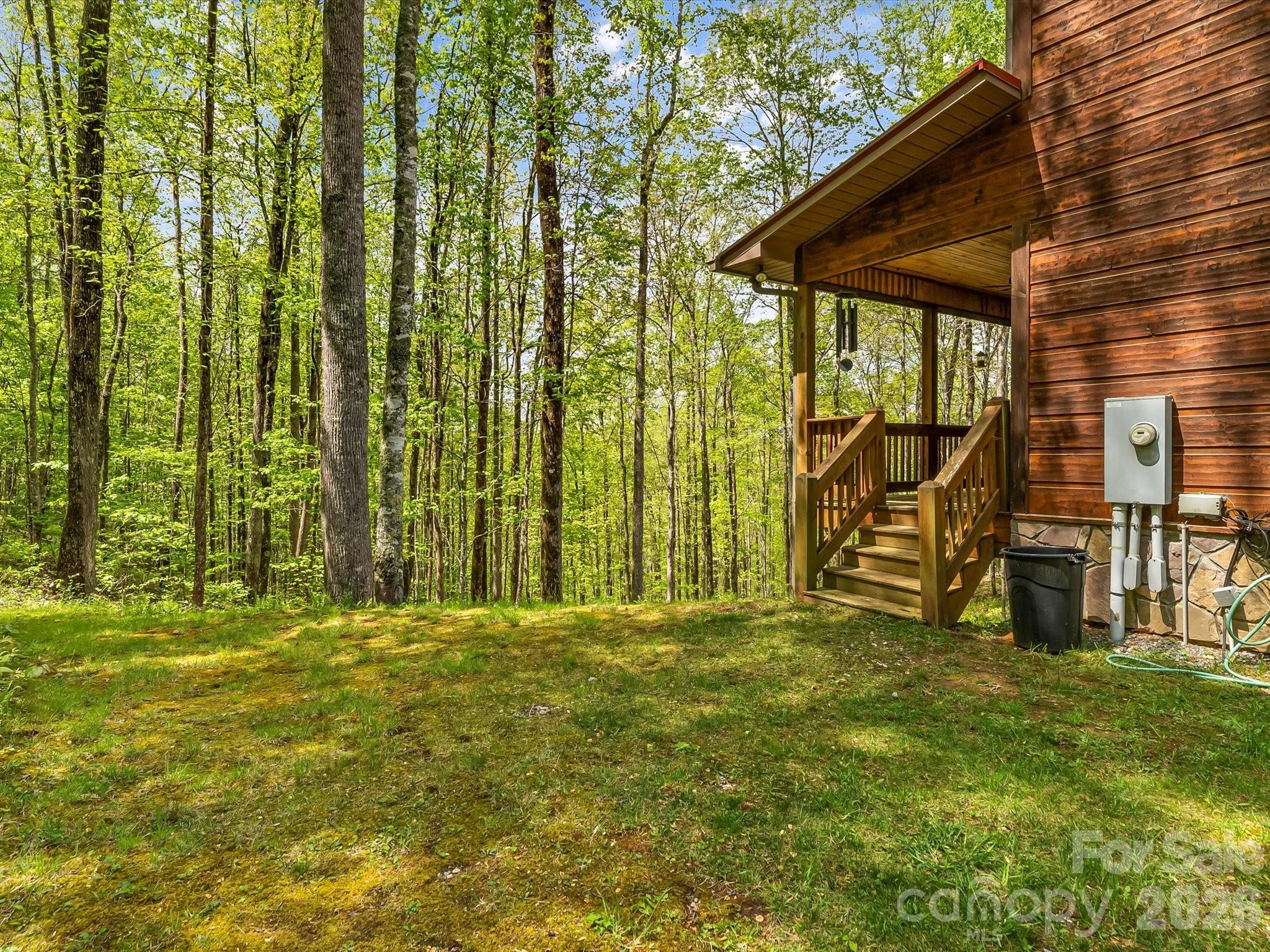 Otter Mountain Rd, Topton, NC 28781 #1