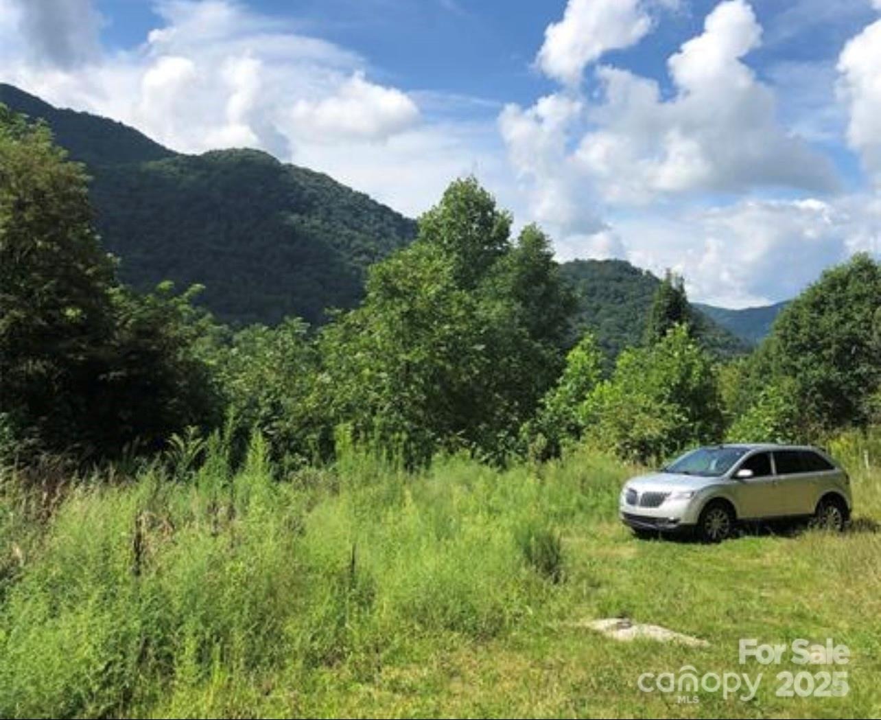 Lanning Rd, Clyde, NC 28721