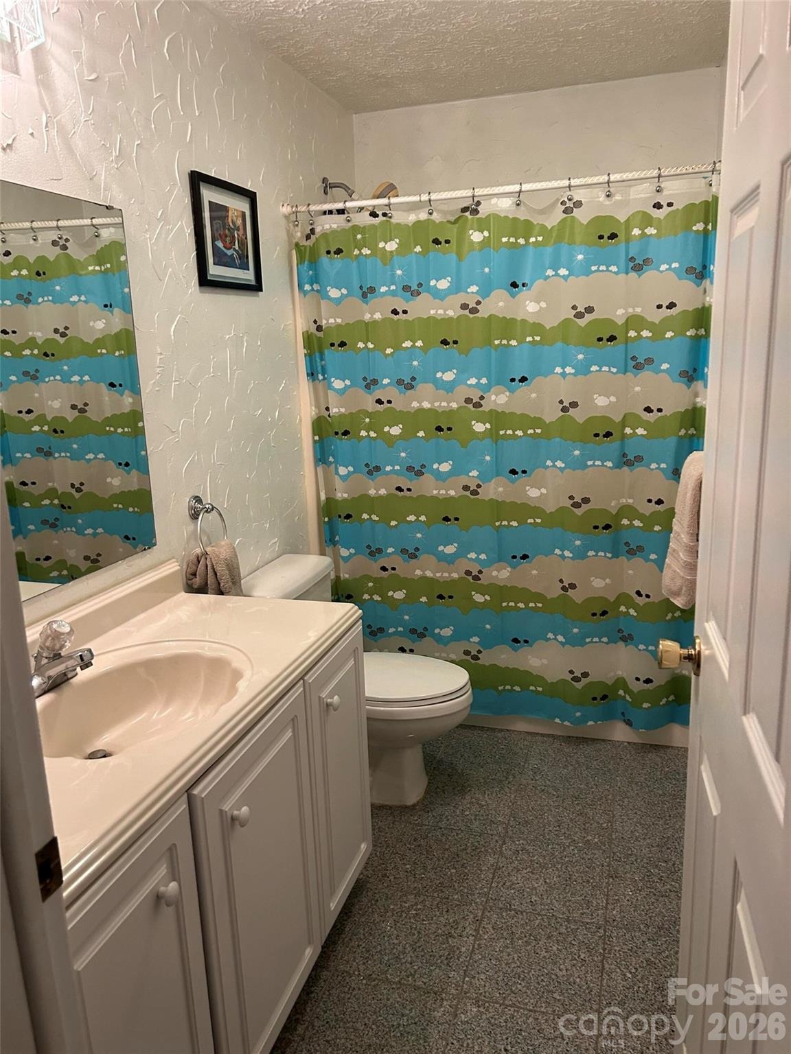 Swamp Fox Dr, Fort Mill, SC 29715 #1