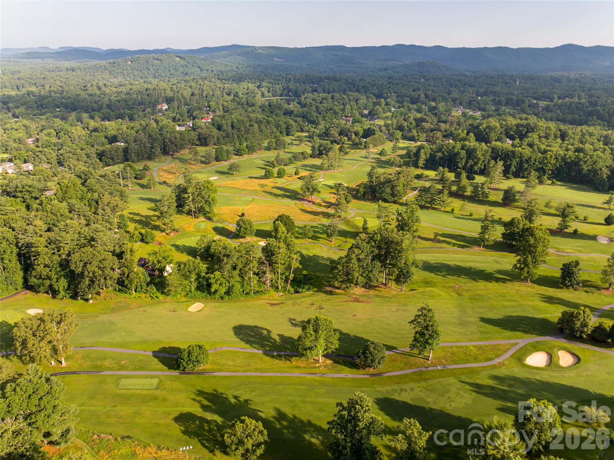 White Pine Dr, Hendersonville, NC 28739 #1