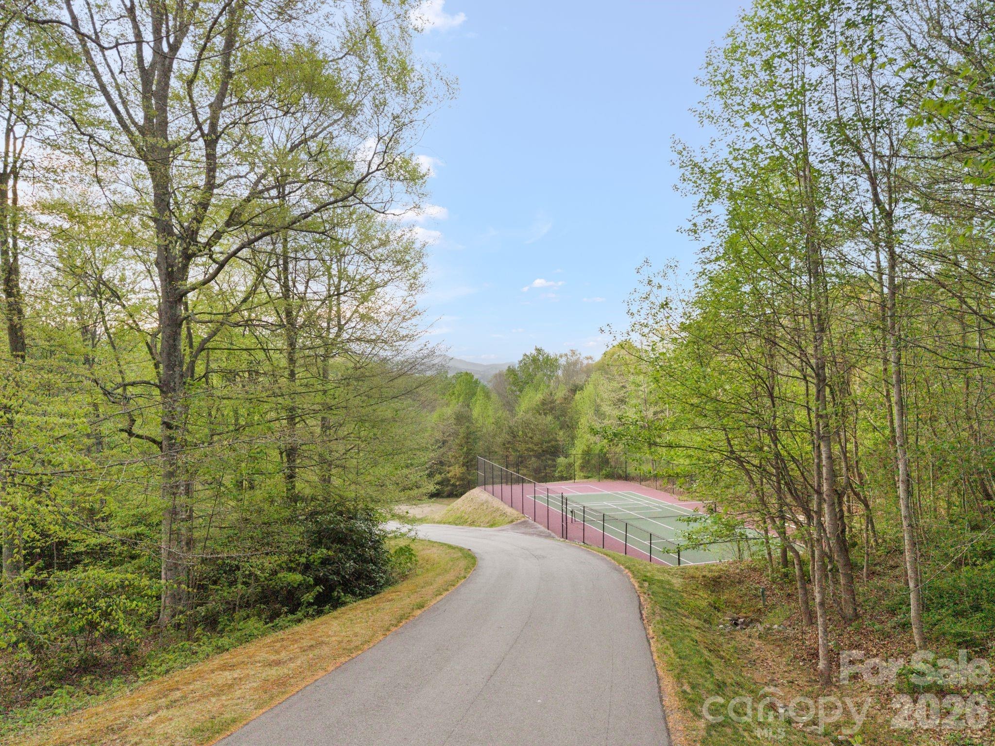 View Ridge Pkwy, Leicester, NC 28748 #1