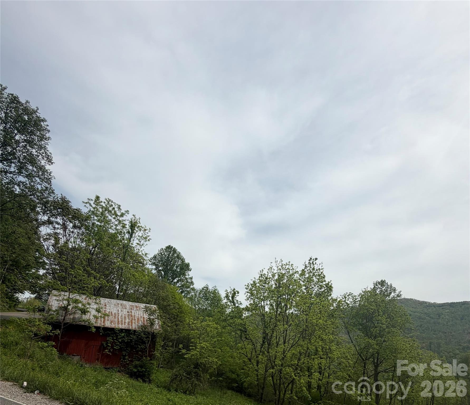 Fork Mountain Rd, Bakersville, NC 28705 #1
