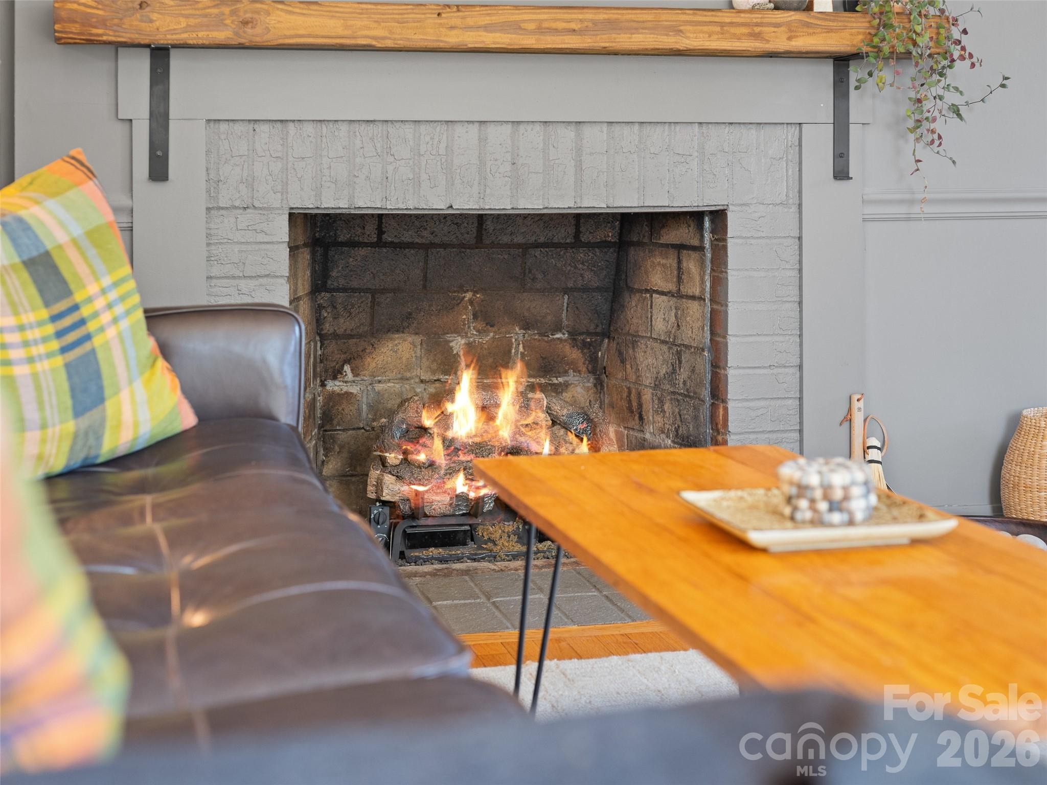 Scruggs Cir, Canton, NC 28716 #1