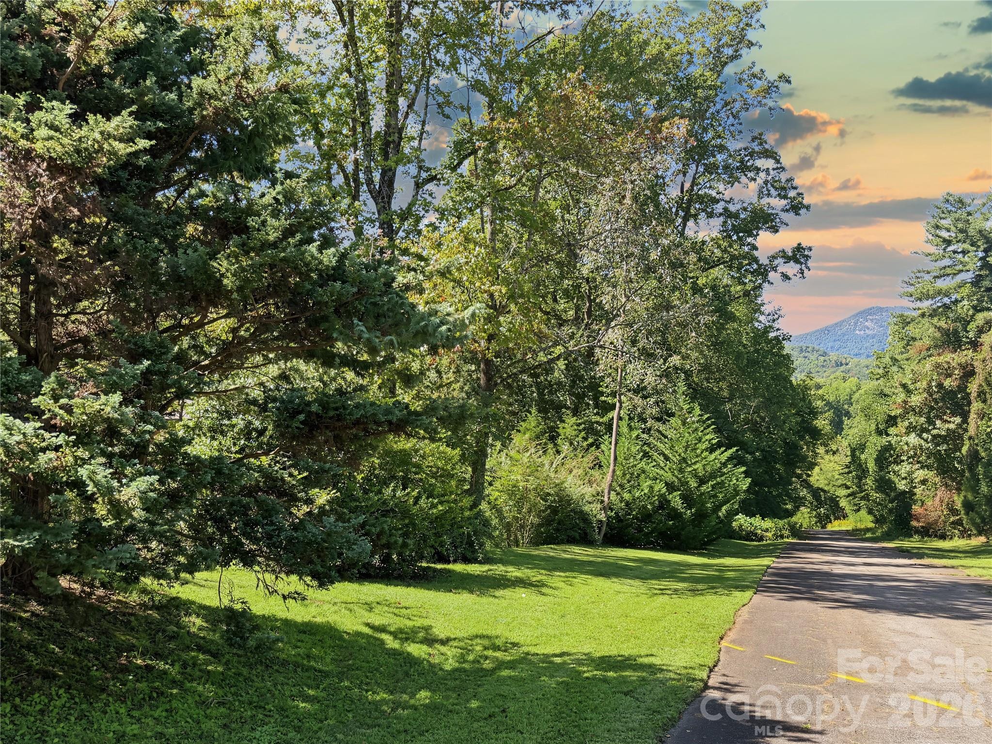 Catherine Dr, Columbus, NC 28722 #1