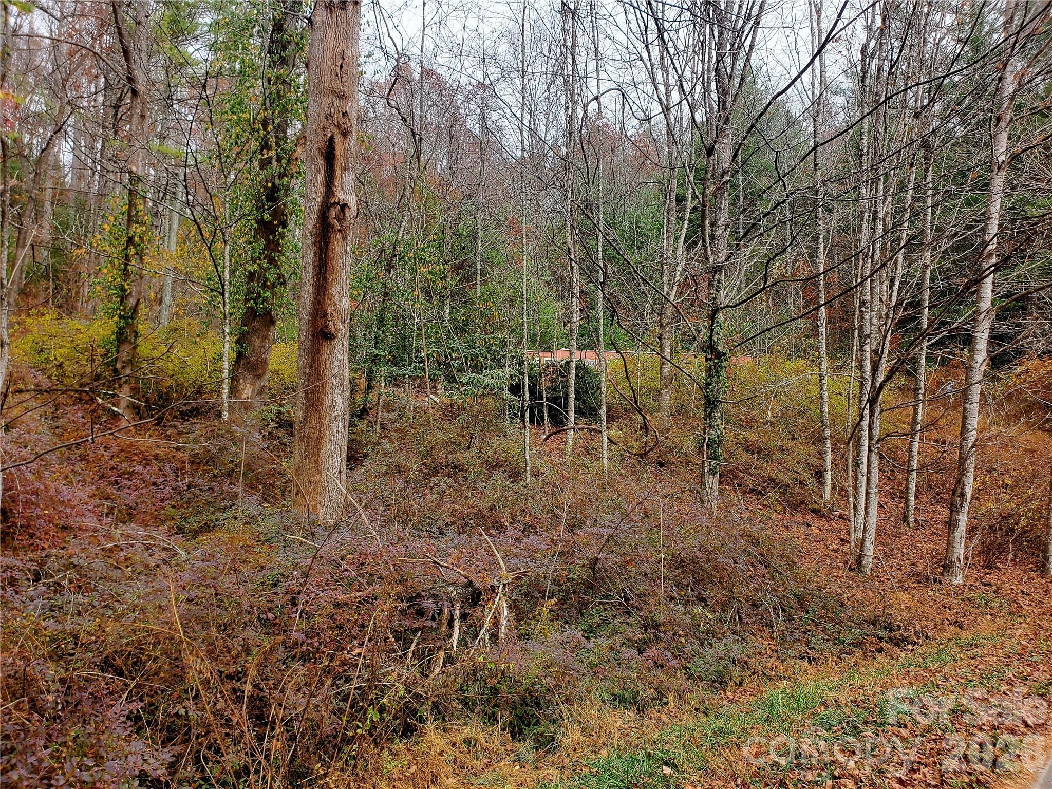Gouges Creek Rd, Spruce Pine, NC 28777