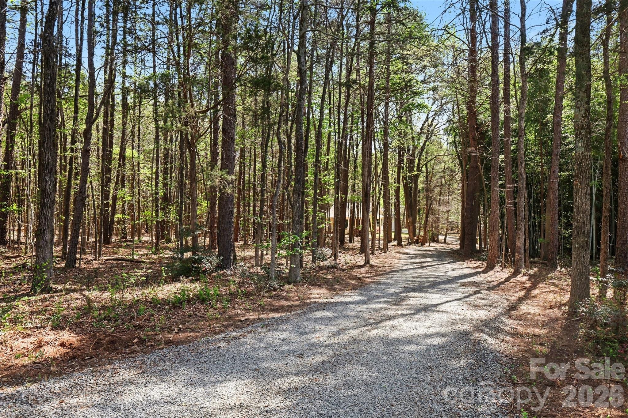 Blair Rd, Mint Hill, NC 28227 #1