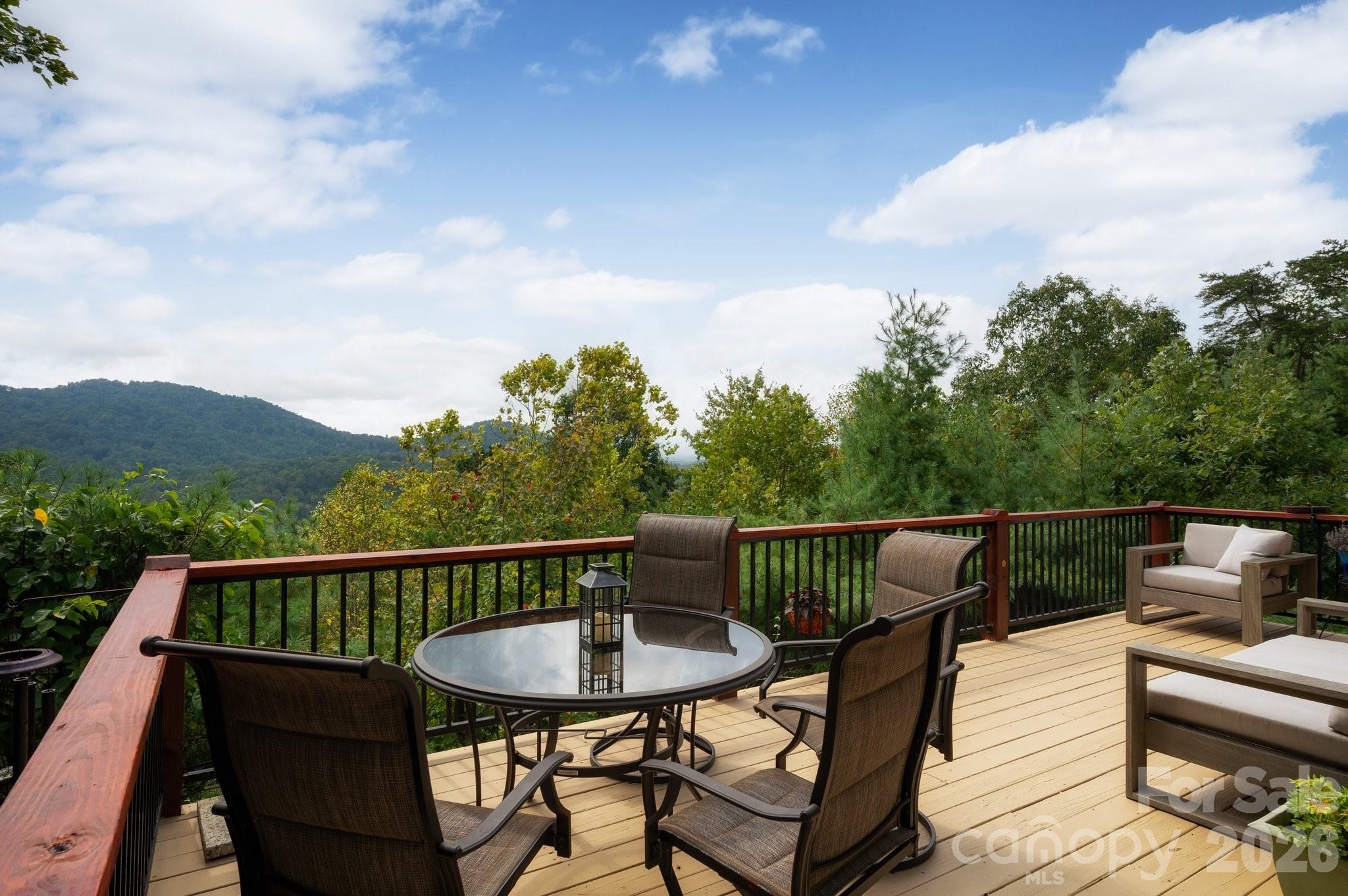 Black Oak Dr, Asheville, NC 28804 #1
