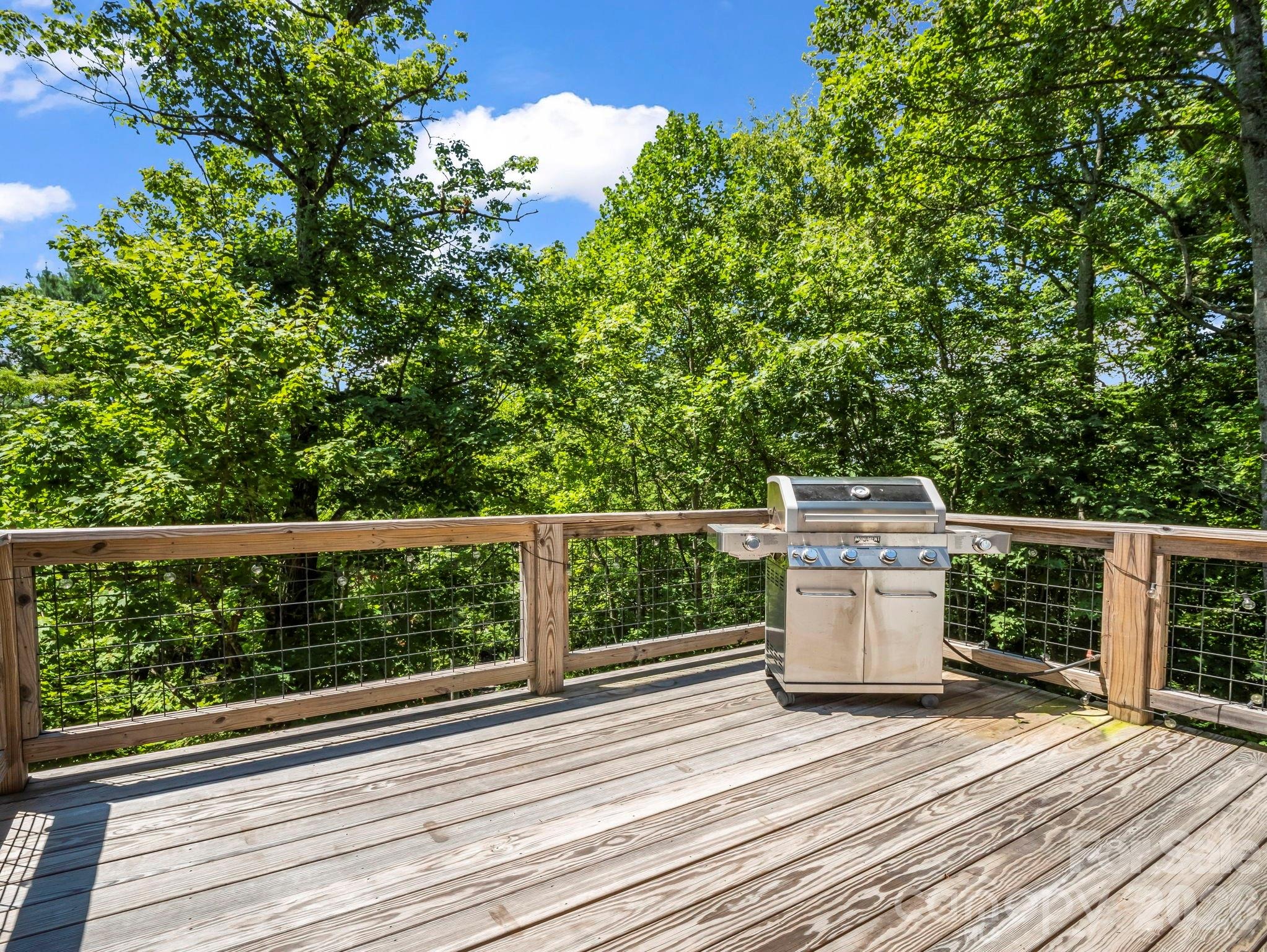 Scenic View Dr, Hendersonville, NC 28792 #1