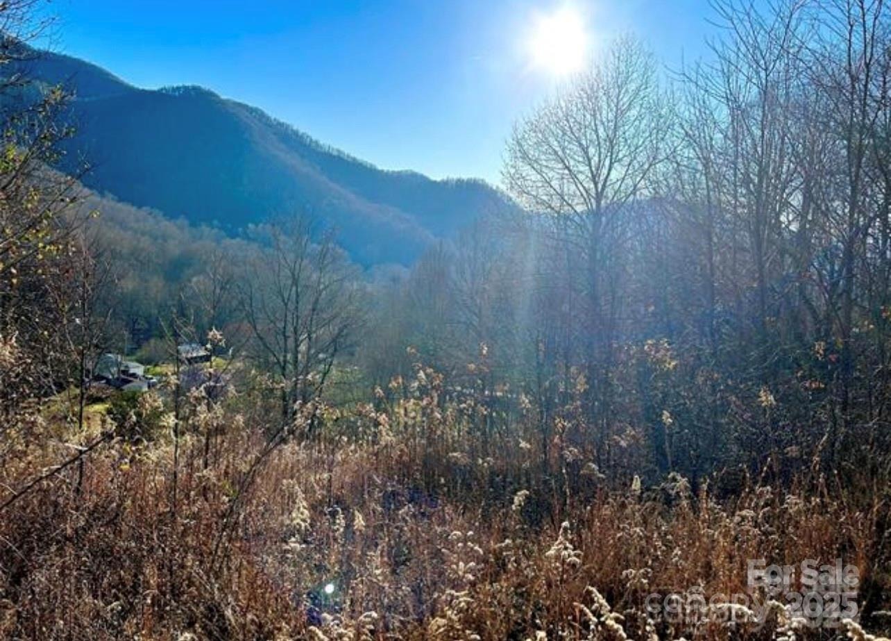 Lanning Rd, Clyde, NC 28721 #1