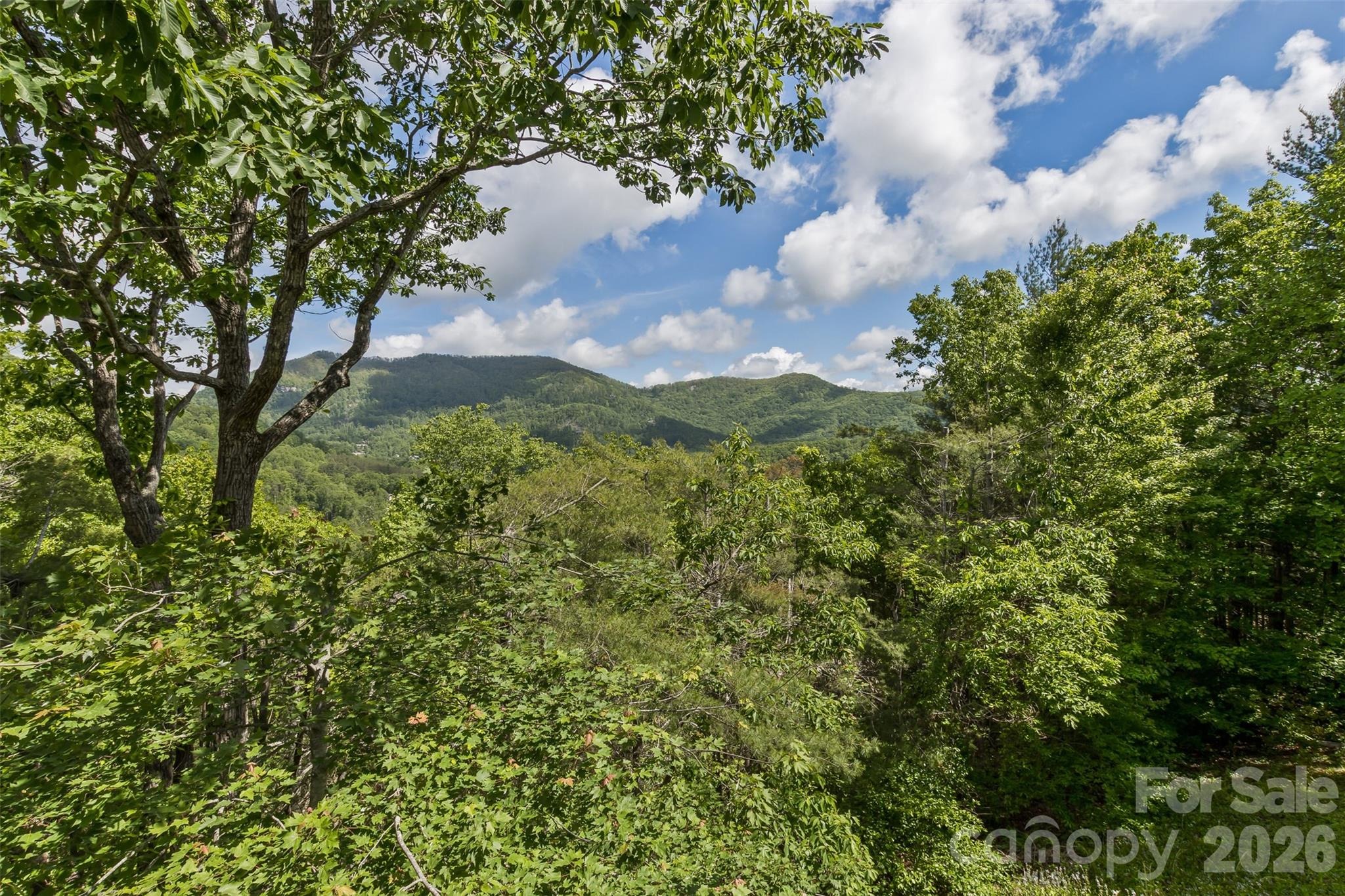 Windsong Dr, Fairview, NC 28730 #1