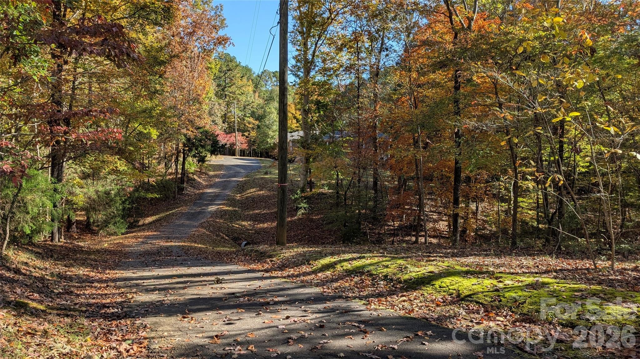 Walker Rd, Rock Hill, SC 29730 #1