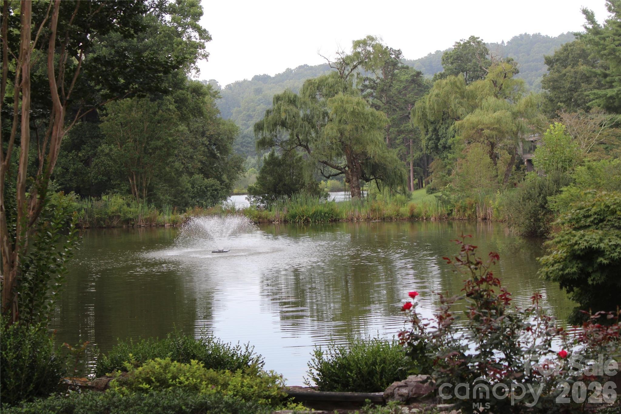 Crowfields Dr, Asheville, NC 28803 #1