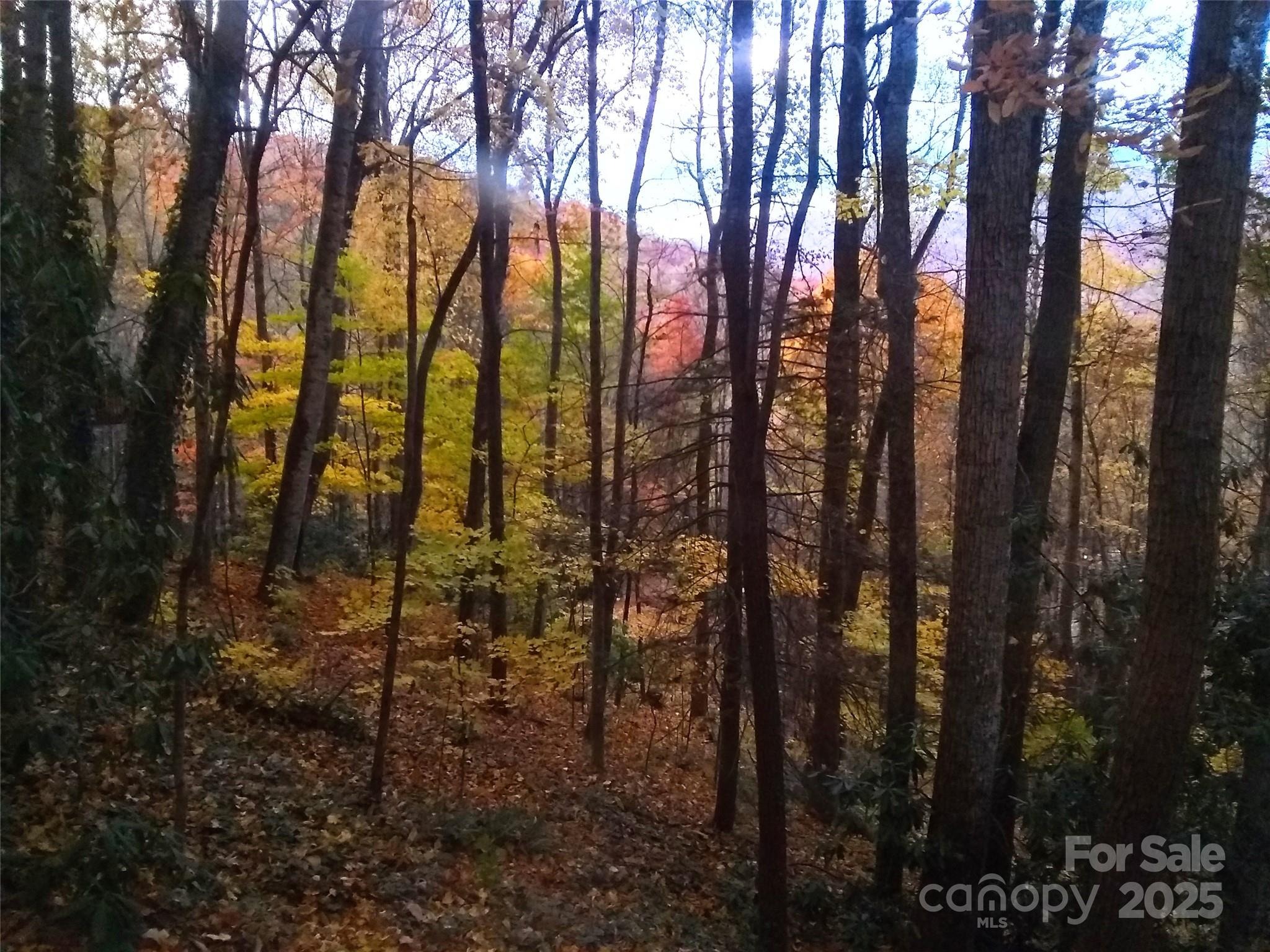 Locust Dr, Maggie Valley, NC 28751