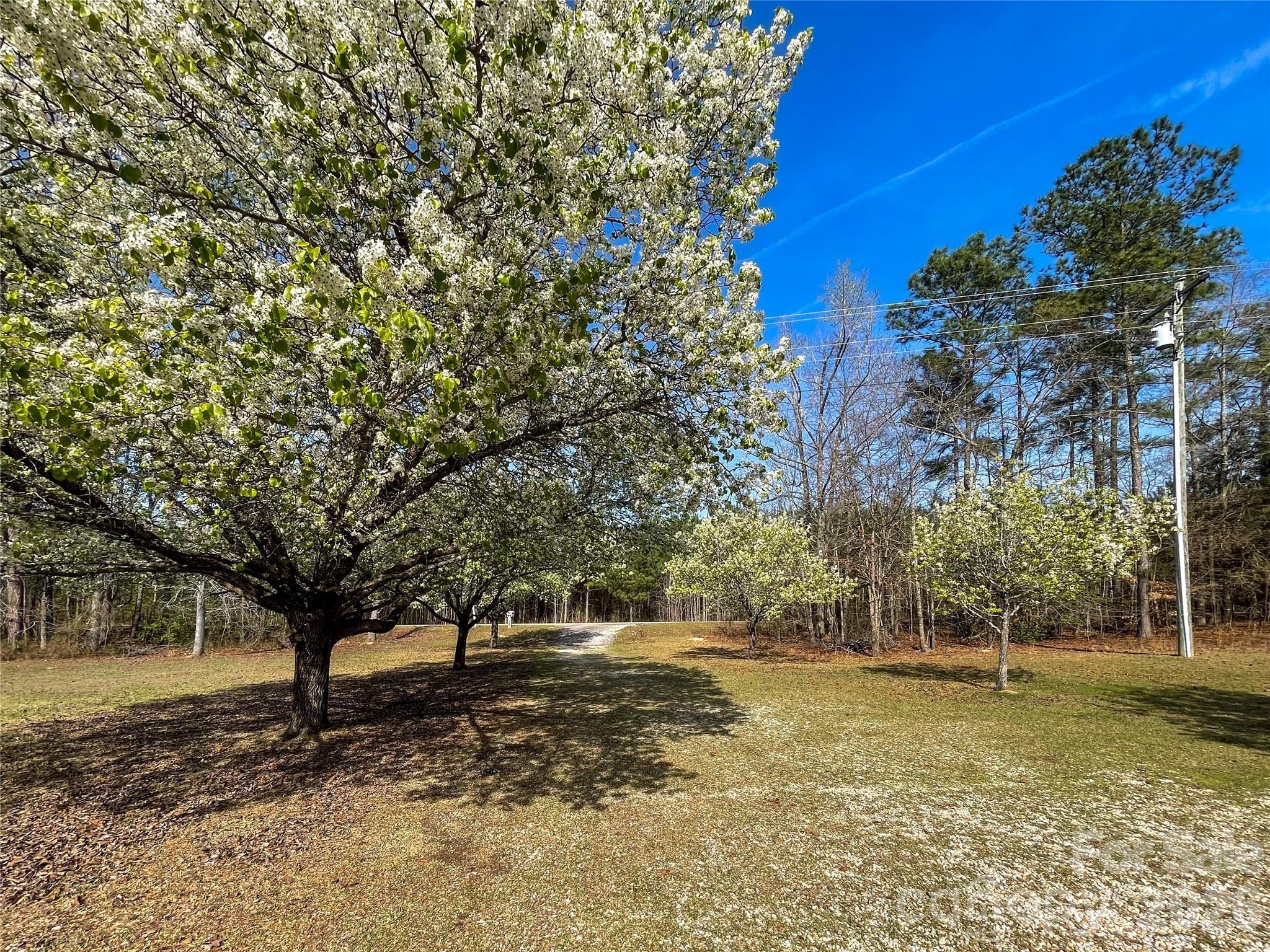 Ebenezer Church Rd, Camden, SC 29020 #1