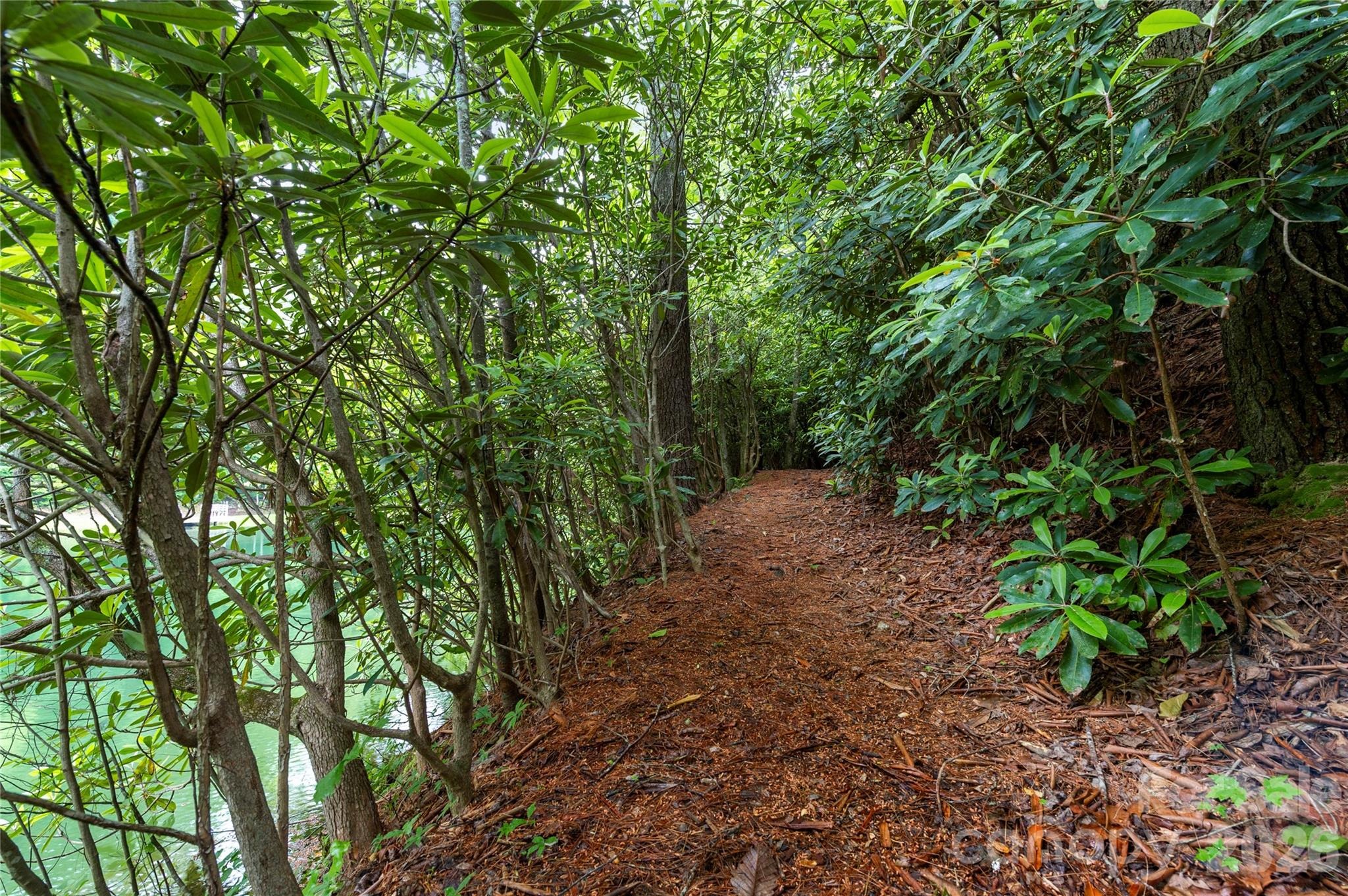 Huckleberry Ridge Ln, Zirconia, NC 28790