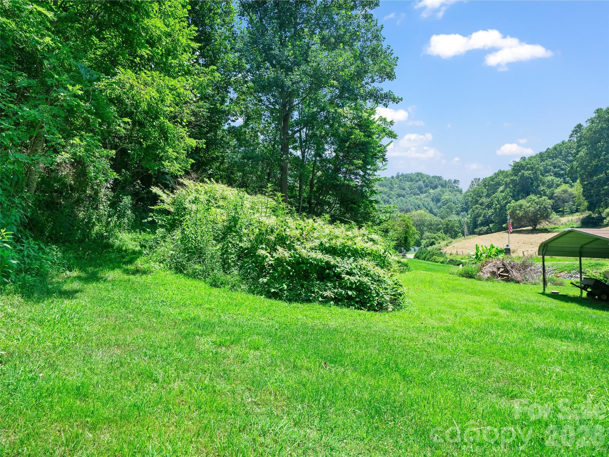 Langford Branch Rd, Burnsville, NC 28714 #1