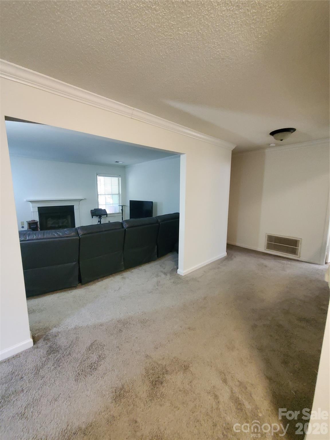 Treetop Ct, Charlotte, NC 28212 #1
