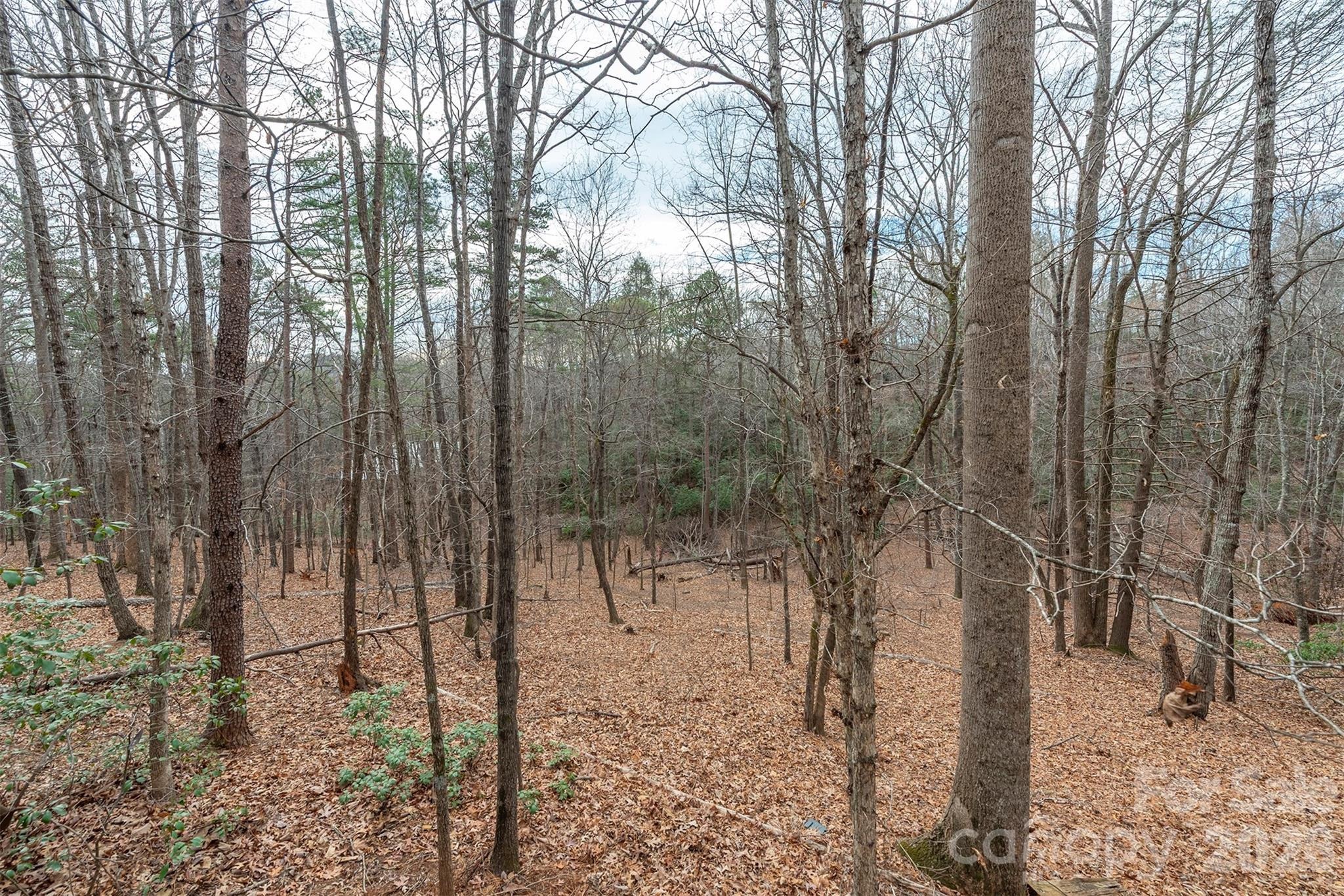 Flynn Ct, Lake Lure, NC 28746 #1