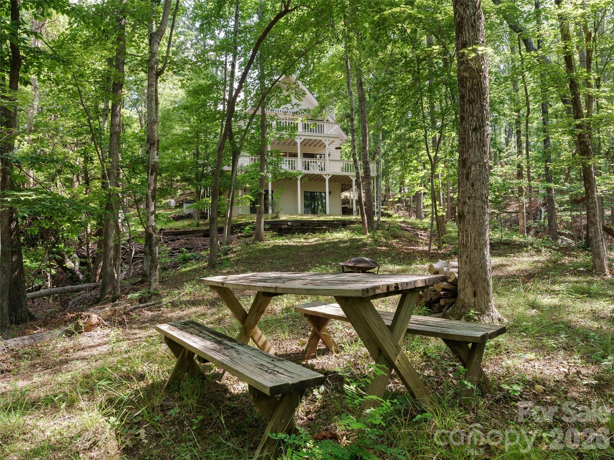 Hungryneck Hollow Ln, Saluda, NC 28773 #1