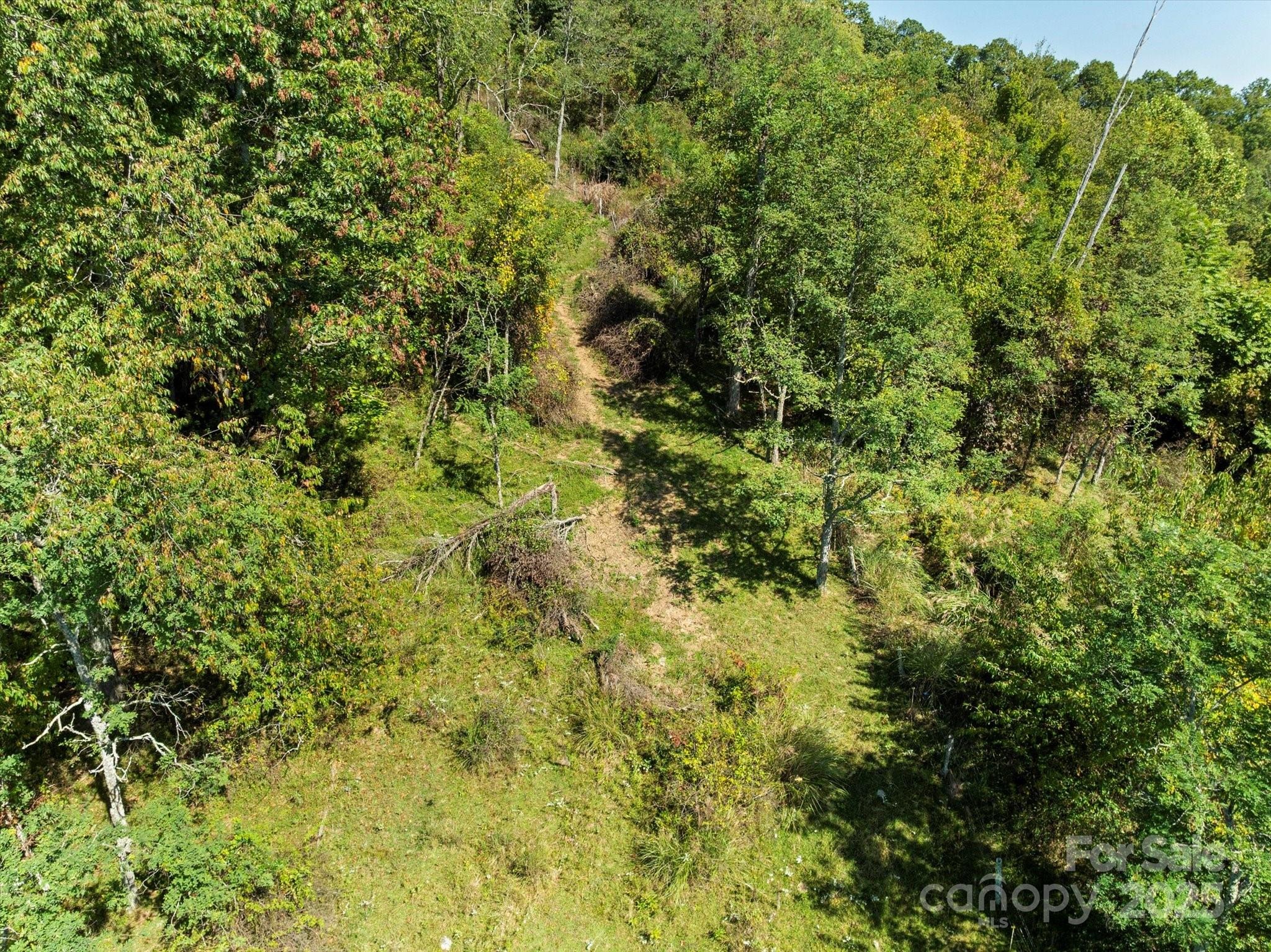 Ammons Branch Rd, Marshall, NC 28753