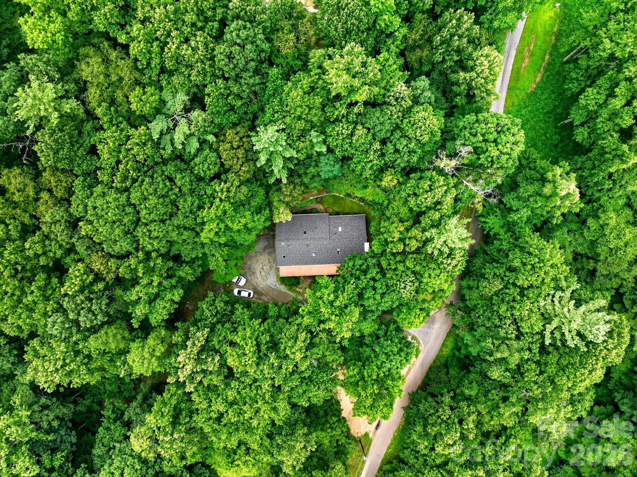 Beech Tree Ln, Asheville, NC 28804