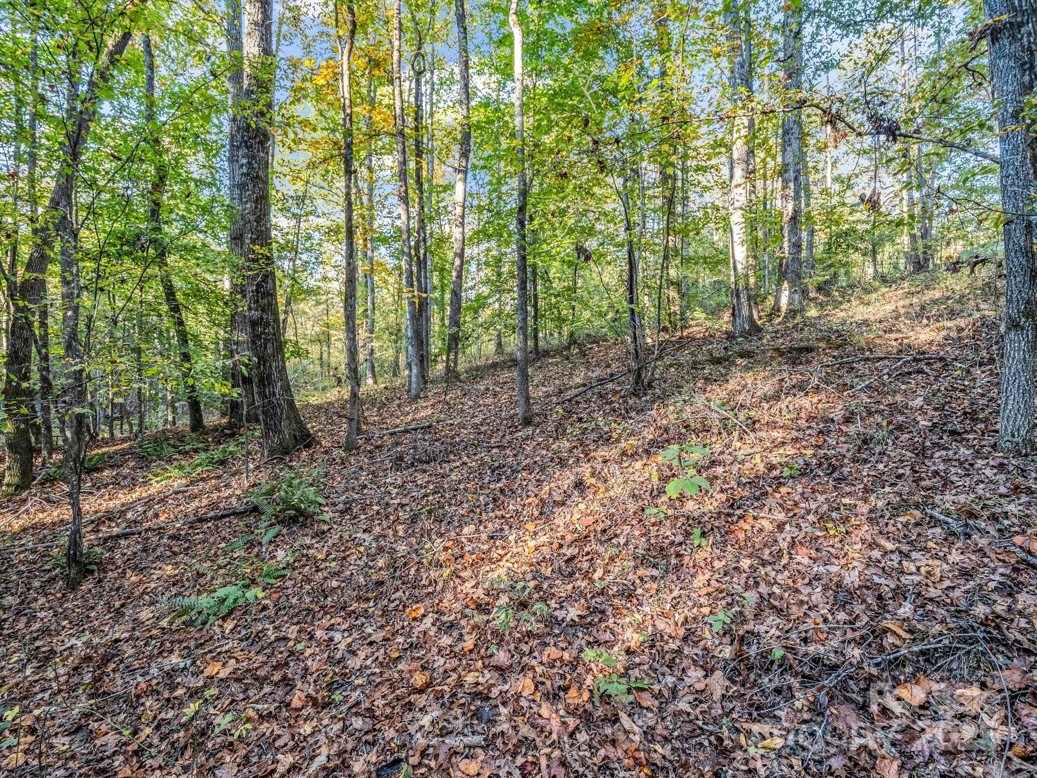 Landrum Rd, Columbus, NC 28722 #1