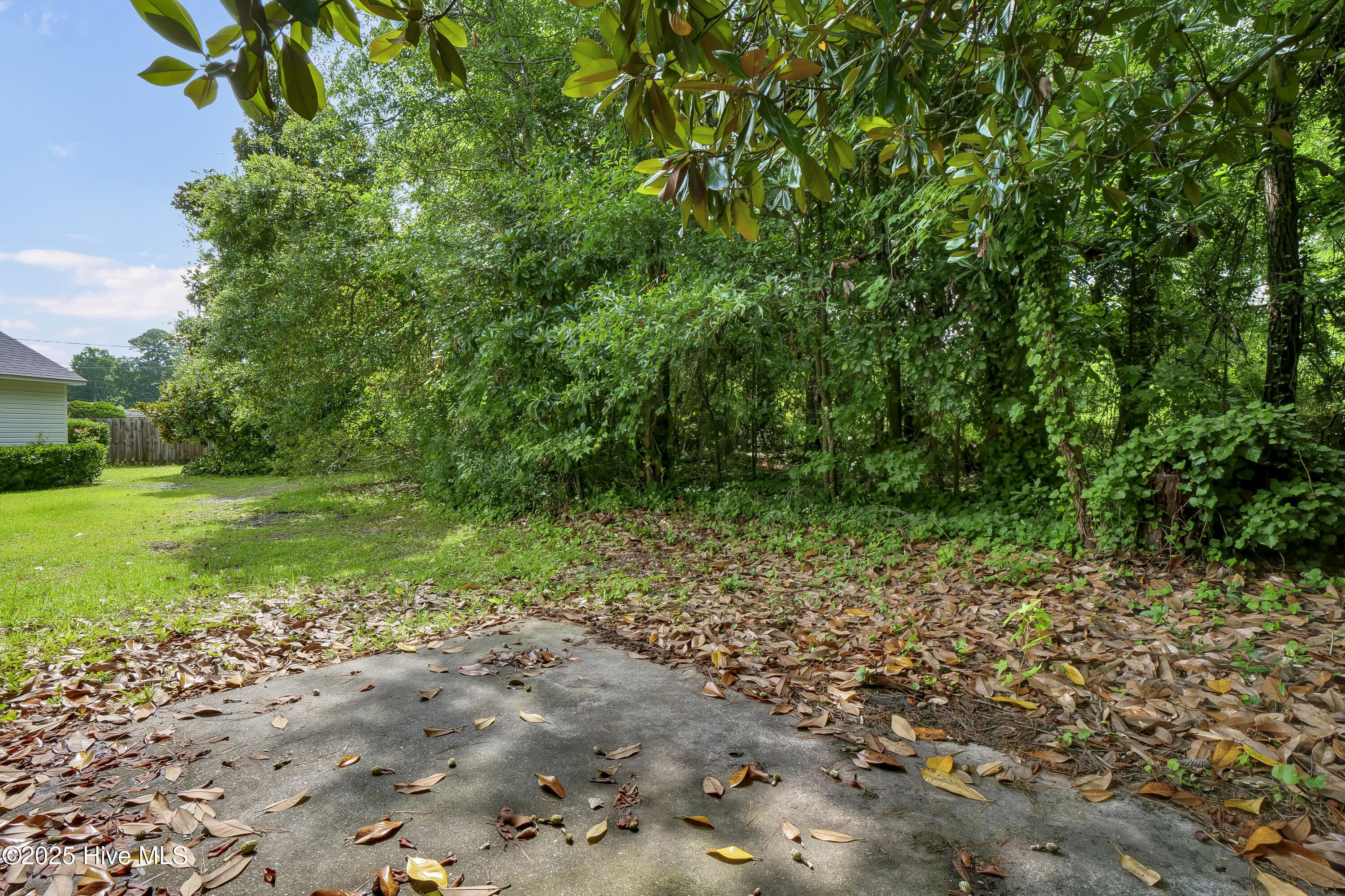 Tabor Ln, Wilmington, NC 28405 #1