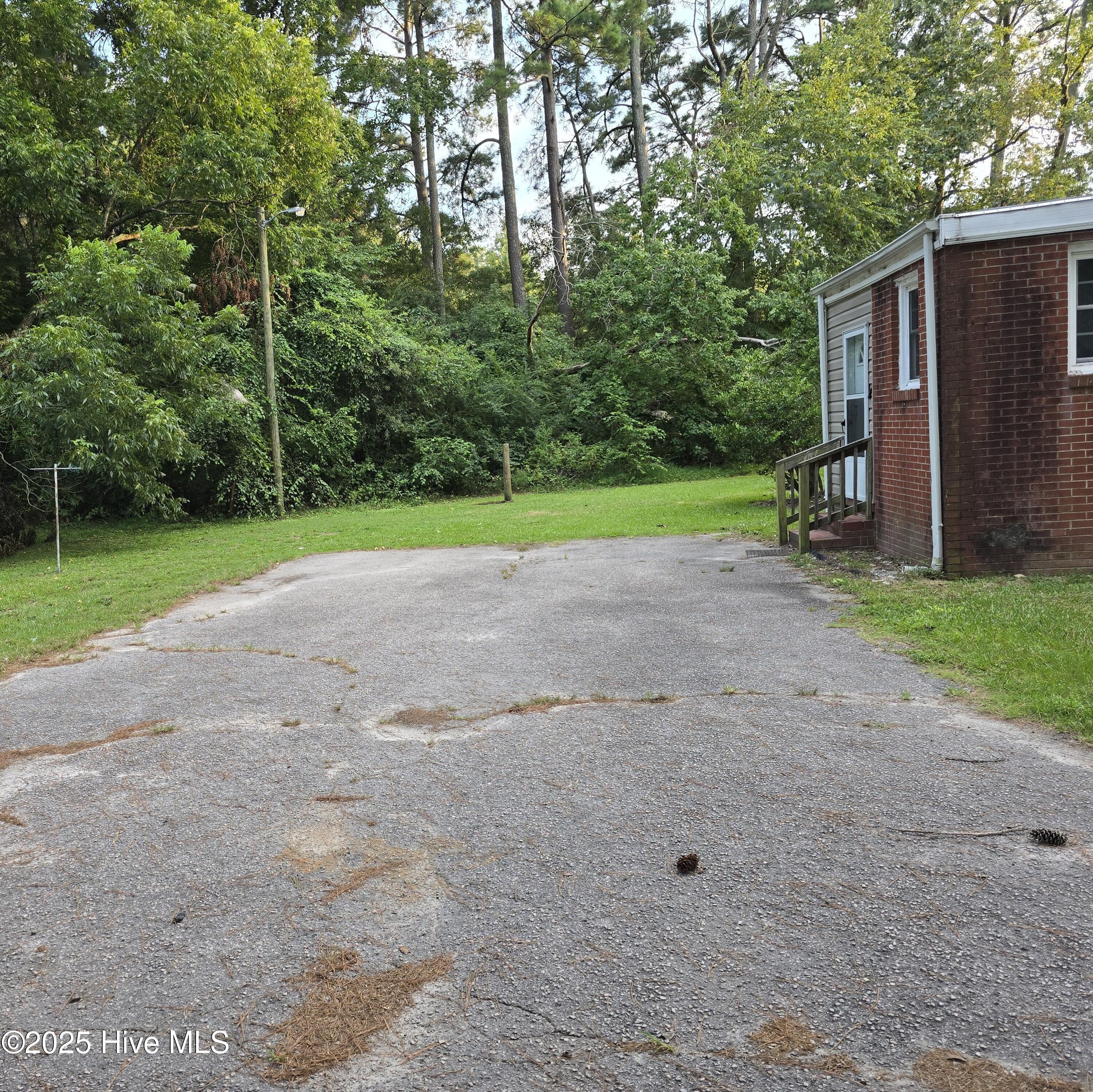 Vance St, Whitakers, NC 27891 #1