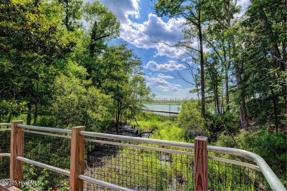 White Cliffs Dr, Castle Hayne, NC 28429 #1