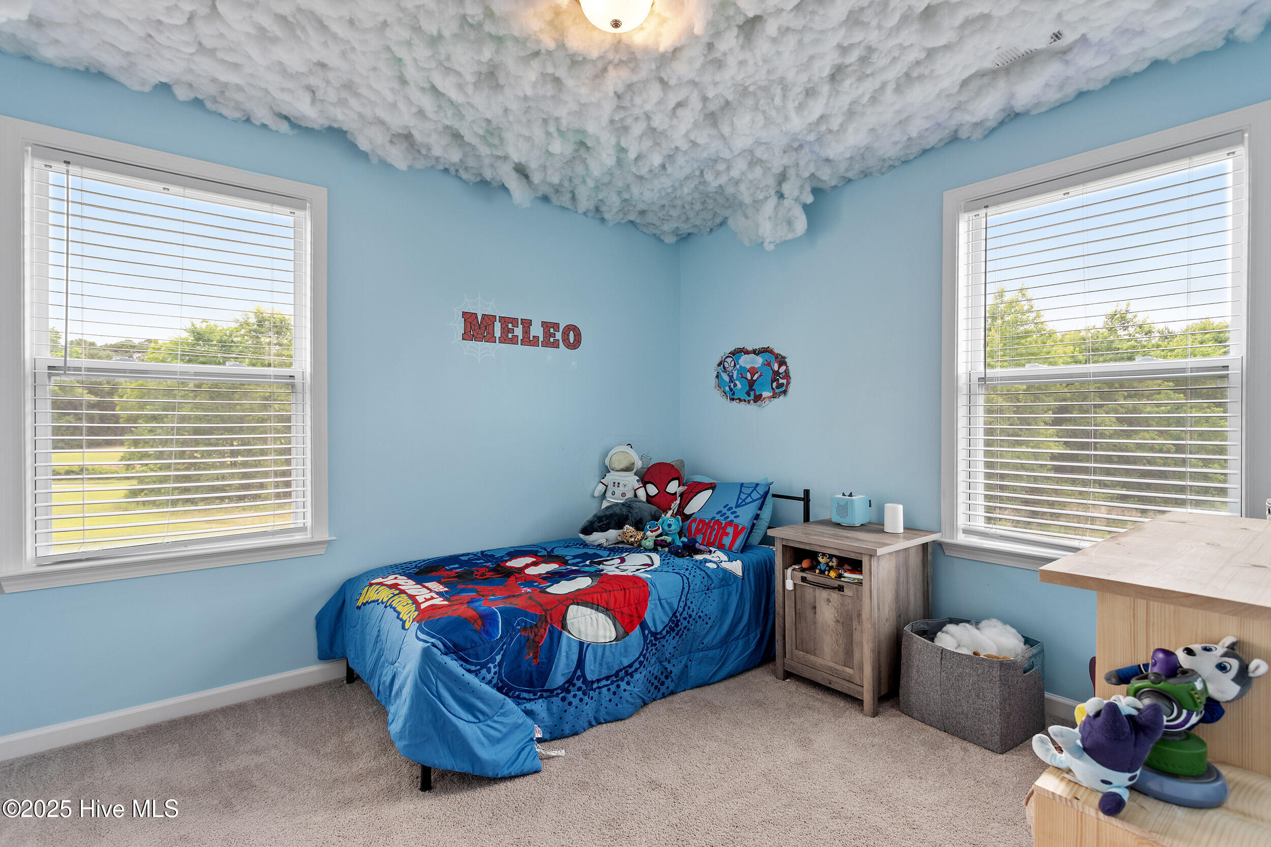 Arrowtown Way, Kenly, NC 27542 #1