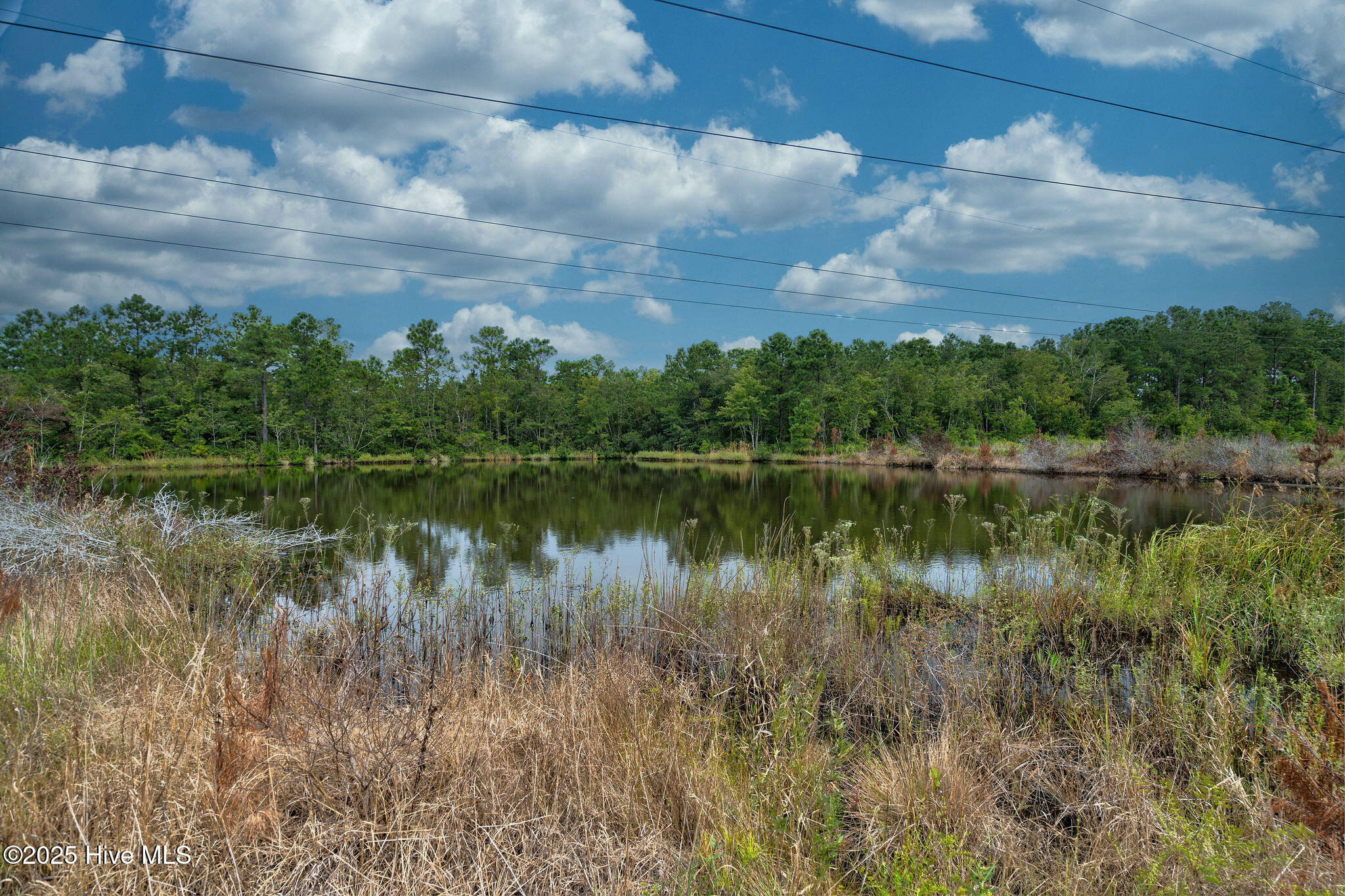 Exton Park Loop, Castle Hayne, NC 28429