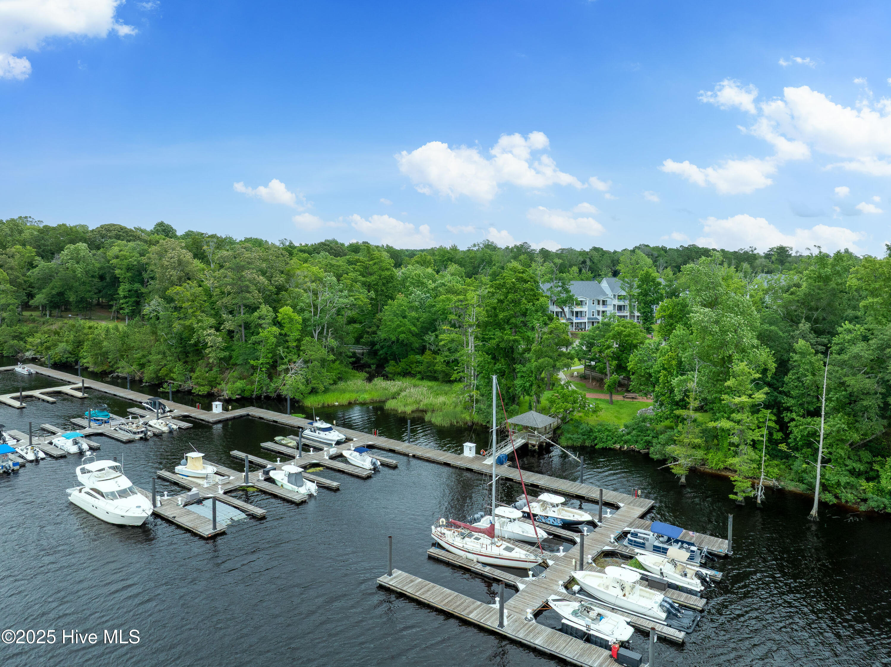 Sabal Pond Way, Castle Hayne, NC 28429 #1