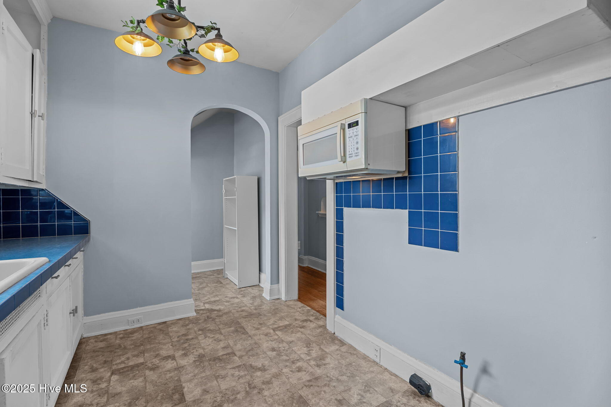 Goldsboro St, Lucama, NC 27851 #1