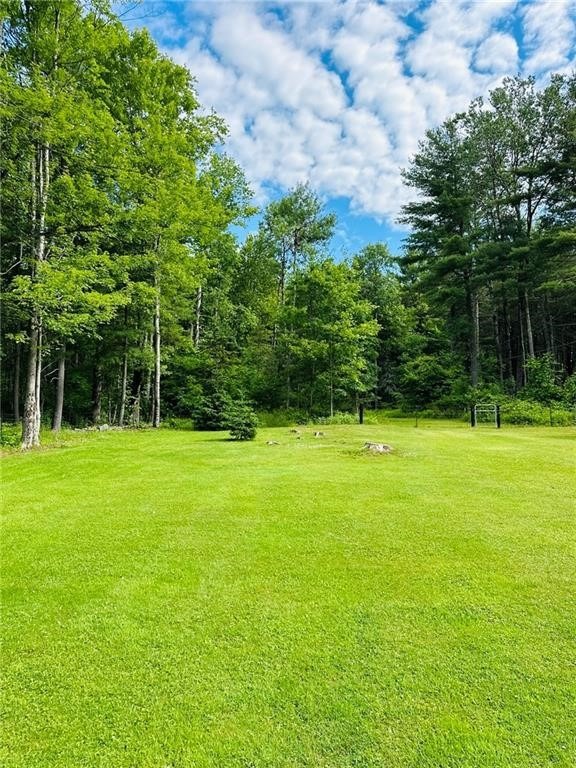 Lyon Rd, Bainbridge, NY 13733 #1