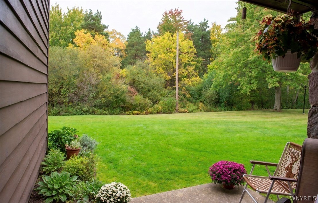 Chestnut Ridge Rd, Orchard Park, NY 14127 #1