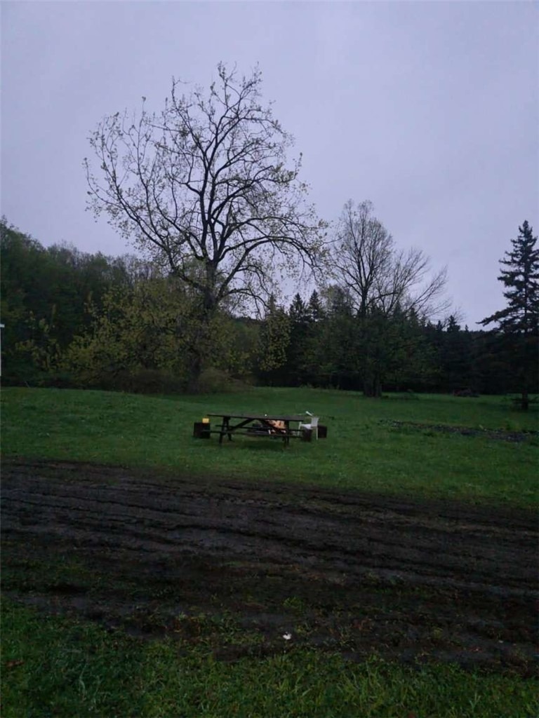 Chestnut Ridge Rd, Cherry Valley, NY 13320 #1
