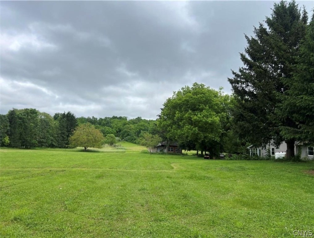 Taylor Rd, Jamesville, NY 13078 #1