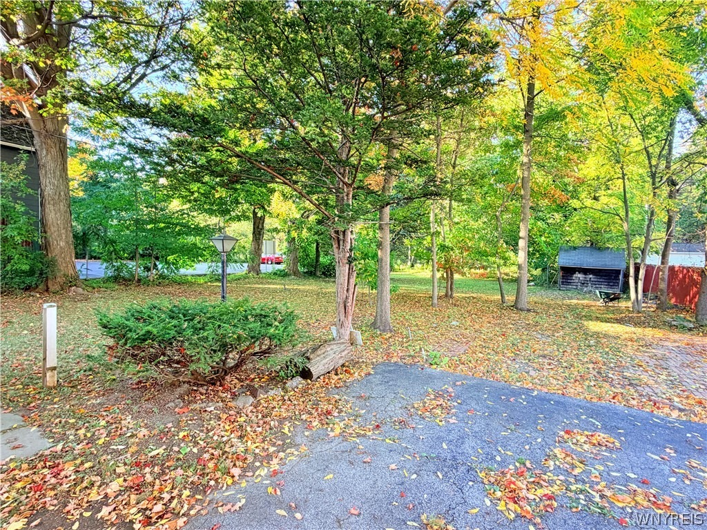 Main St, Hamburg, NY 14075 #1