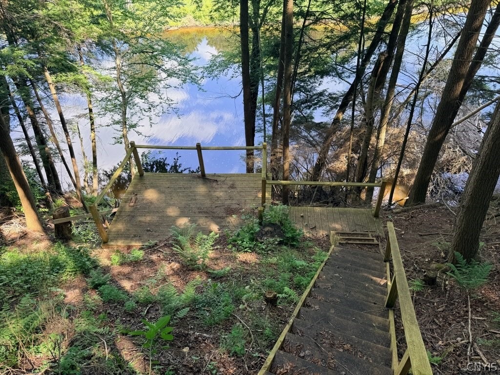 Woods Rd, Remsen, NY 13438 #1