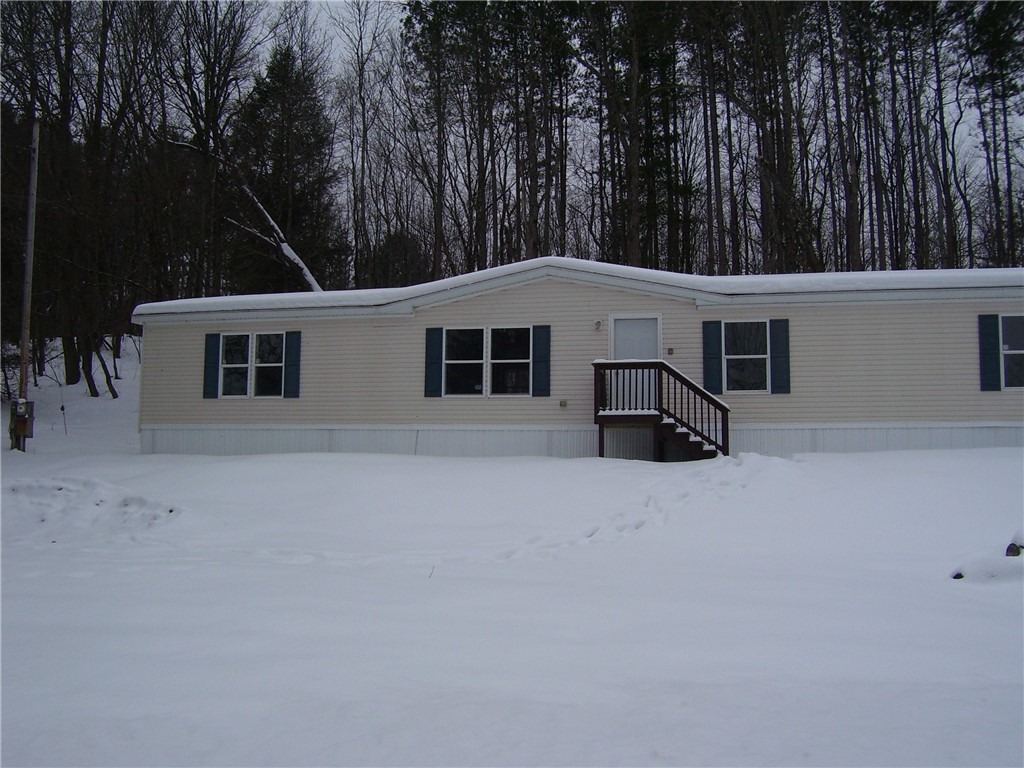 Case Rd, Bainbridge, NY 13733 #1